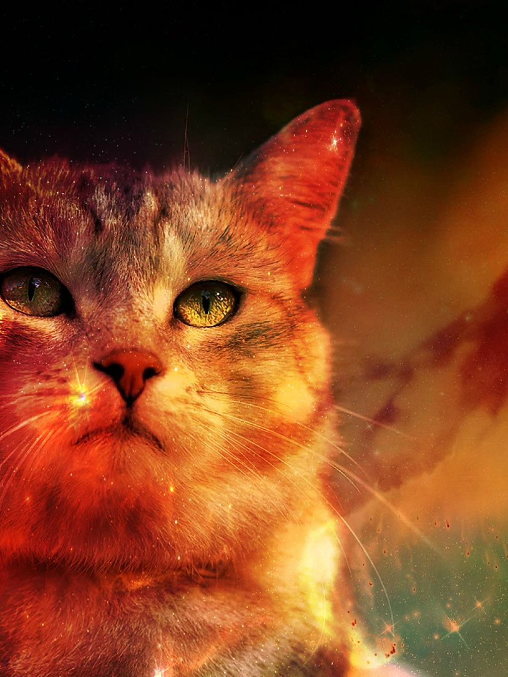 1620x2160 Resolution Cat In Space Digital Art Planet 1620x2160 Resolution Wallpaper Wallpapers Den 1950