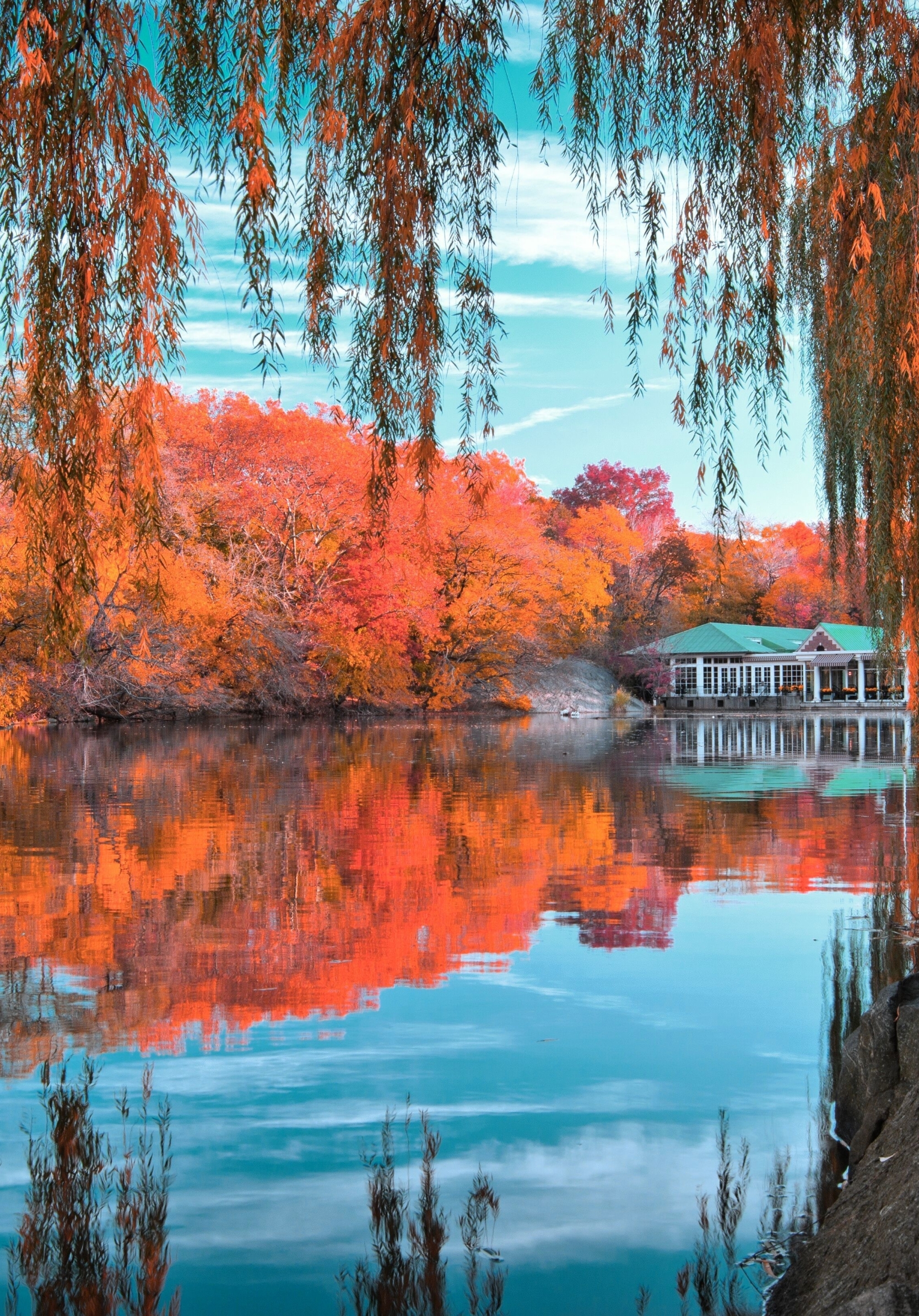 1668x2388 central park, new york, autumn 1668x2388 Resolution Wallpaper, HD  Nature 4K Wallpapers, Images, Photos and Background - Wallpapers Den
