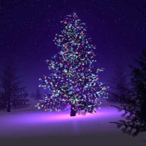 300x300 Resolution Christmas Tree with Light Decorations 300x300 ...