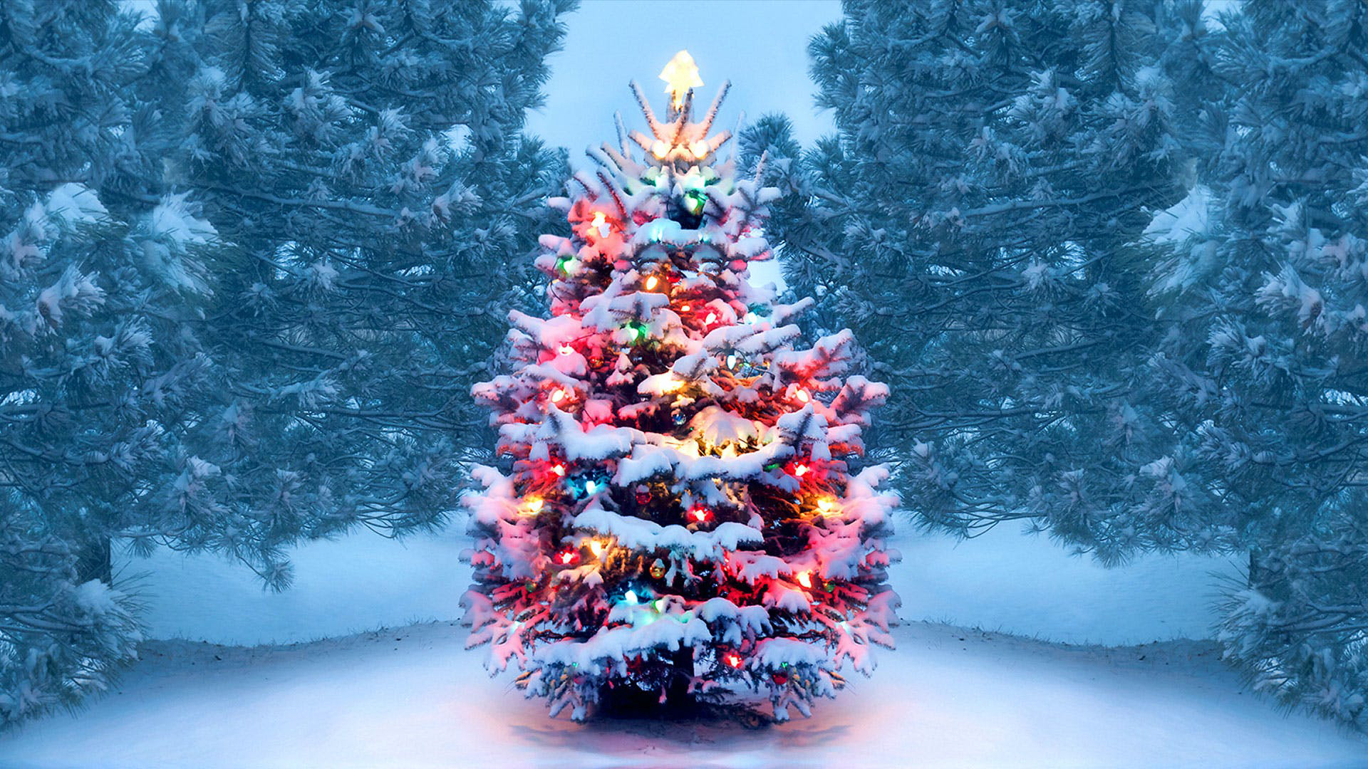 Christmas Tree With Snow And Lights