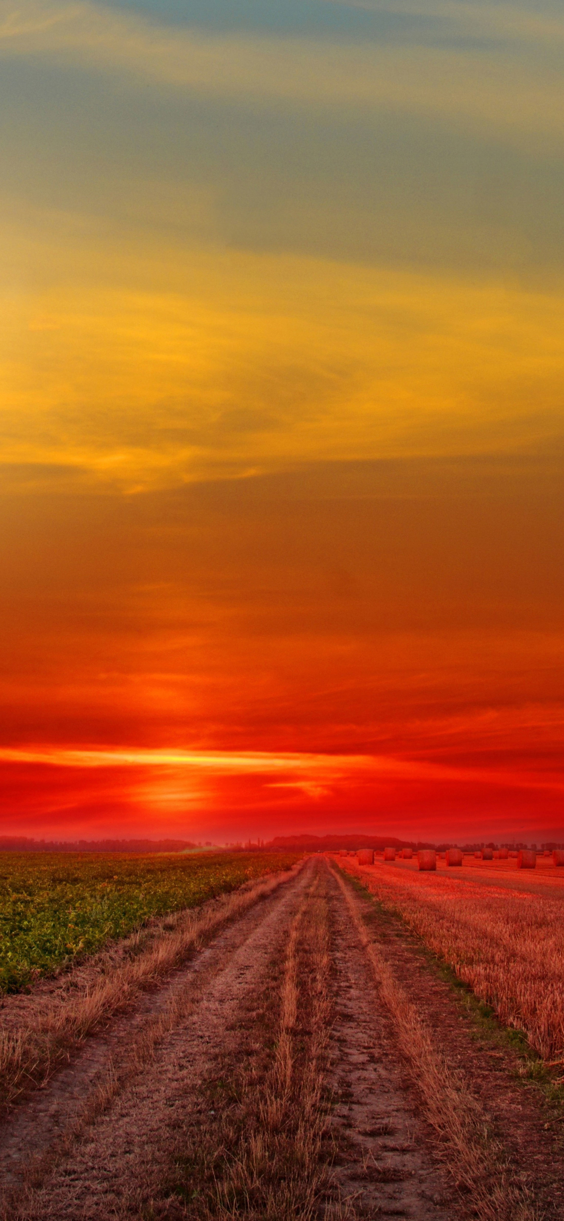 1125x2436 Colorful Sunset at Lonely Field Iphone XS,Iphone ...