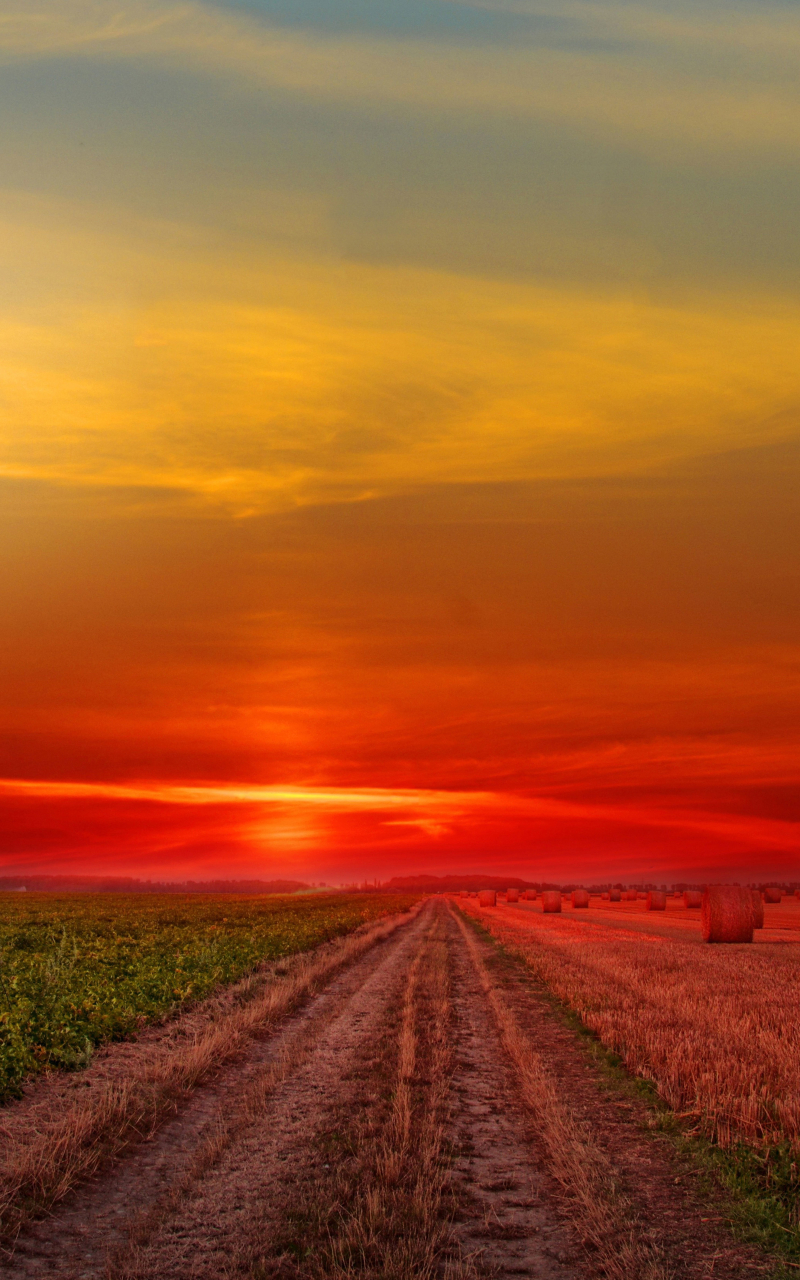 800x1280 Resolution Colorful Sunset at Lonely Field Nexus 7,Samsung ...