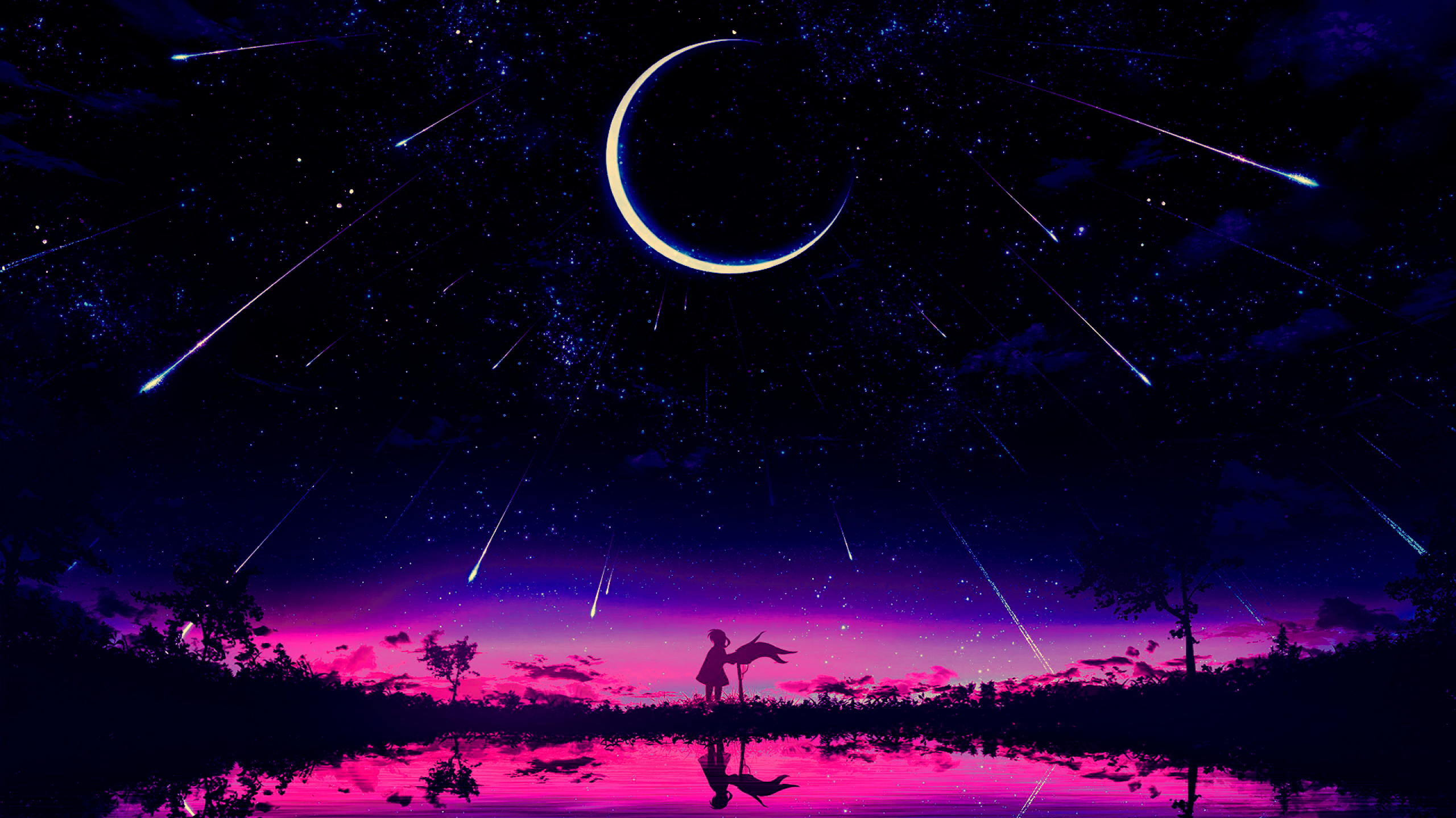 2560x1440 Resolution Cool Anime Starry Night Illustration 1440p