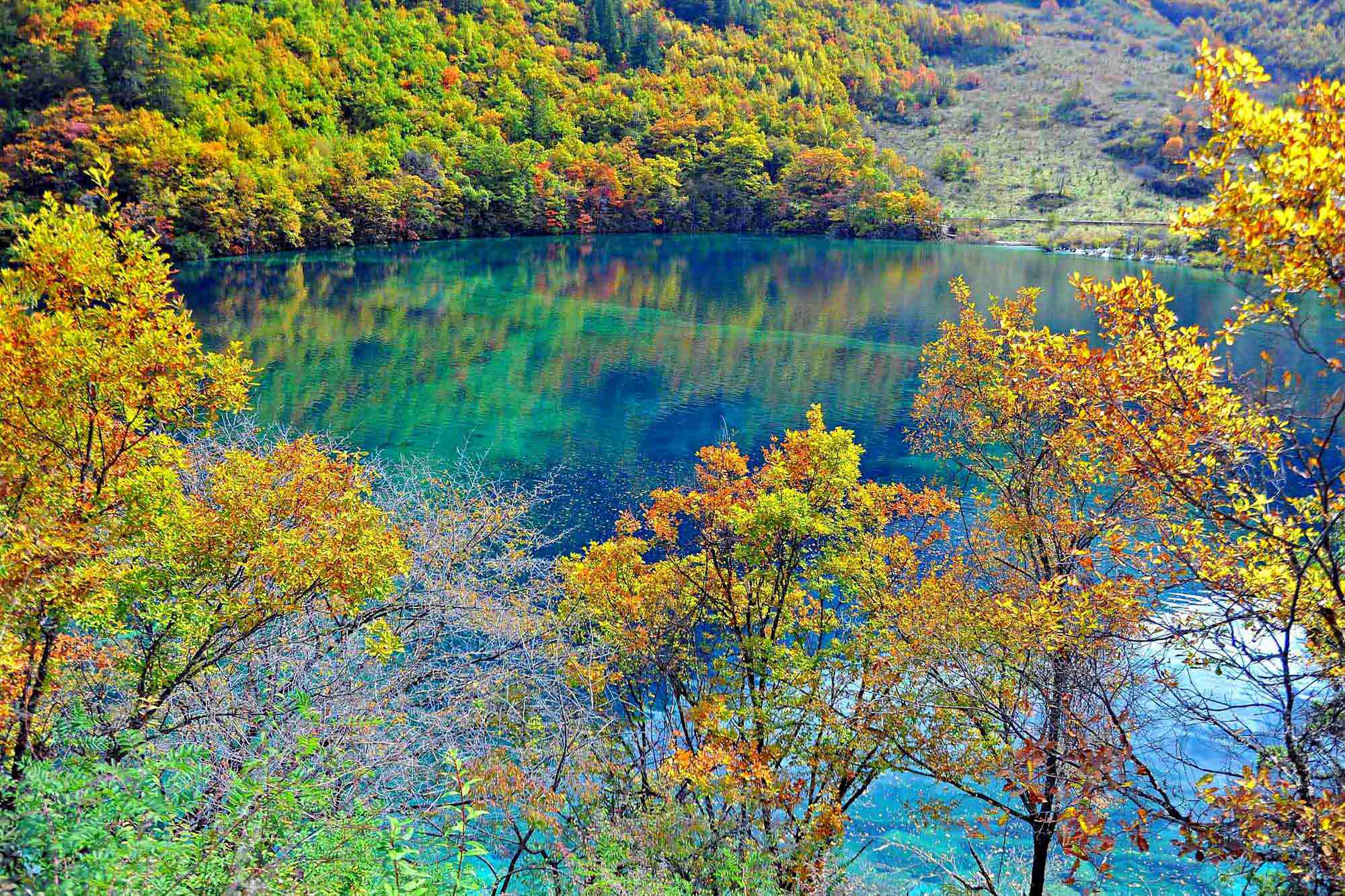 crystalline turquoise lake, jiuzhaigou national park, china Wallpaper