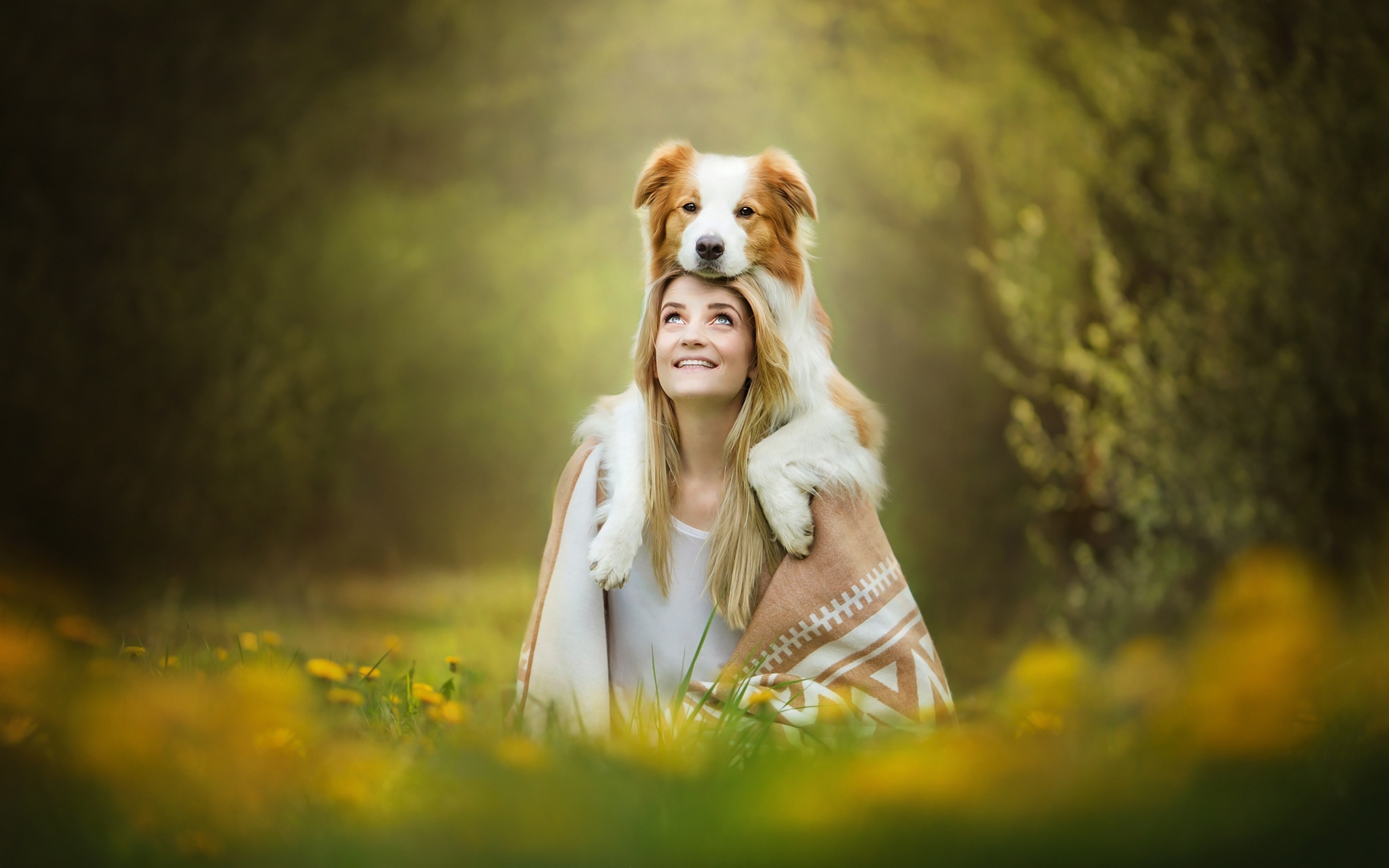 Девушка с собакой. Красивая девушка с собачкой. Фотосессия девушка с собакой. Фотосессия с собакой на природе.