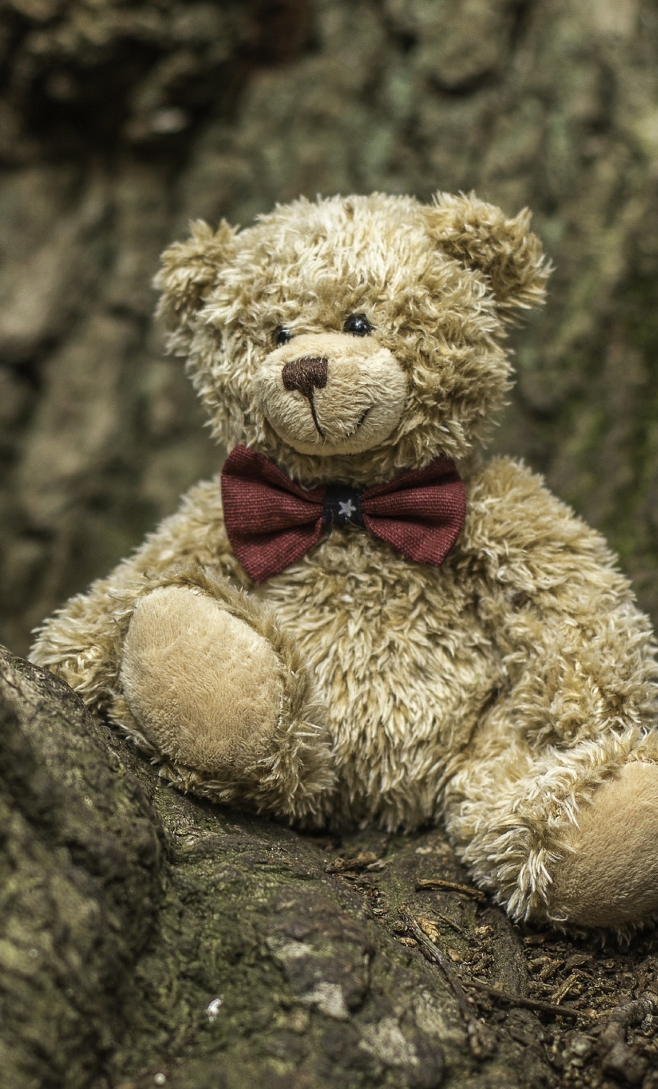 1280x2120 Cute Teddy Bear iPhone 6 plus Wallpaper, HD Other 4K Wallpapers,  Images, Photos and Background - Wallpapers Den