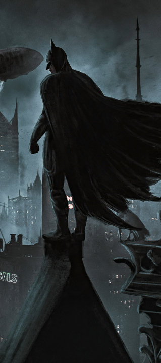 319x720 DC Superhero Batman Art 319x720 Resolution Wallpaper, HD ...