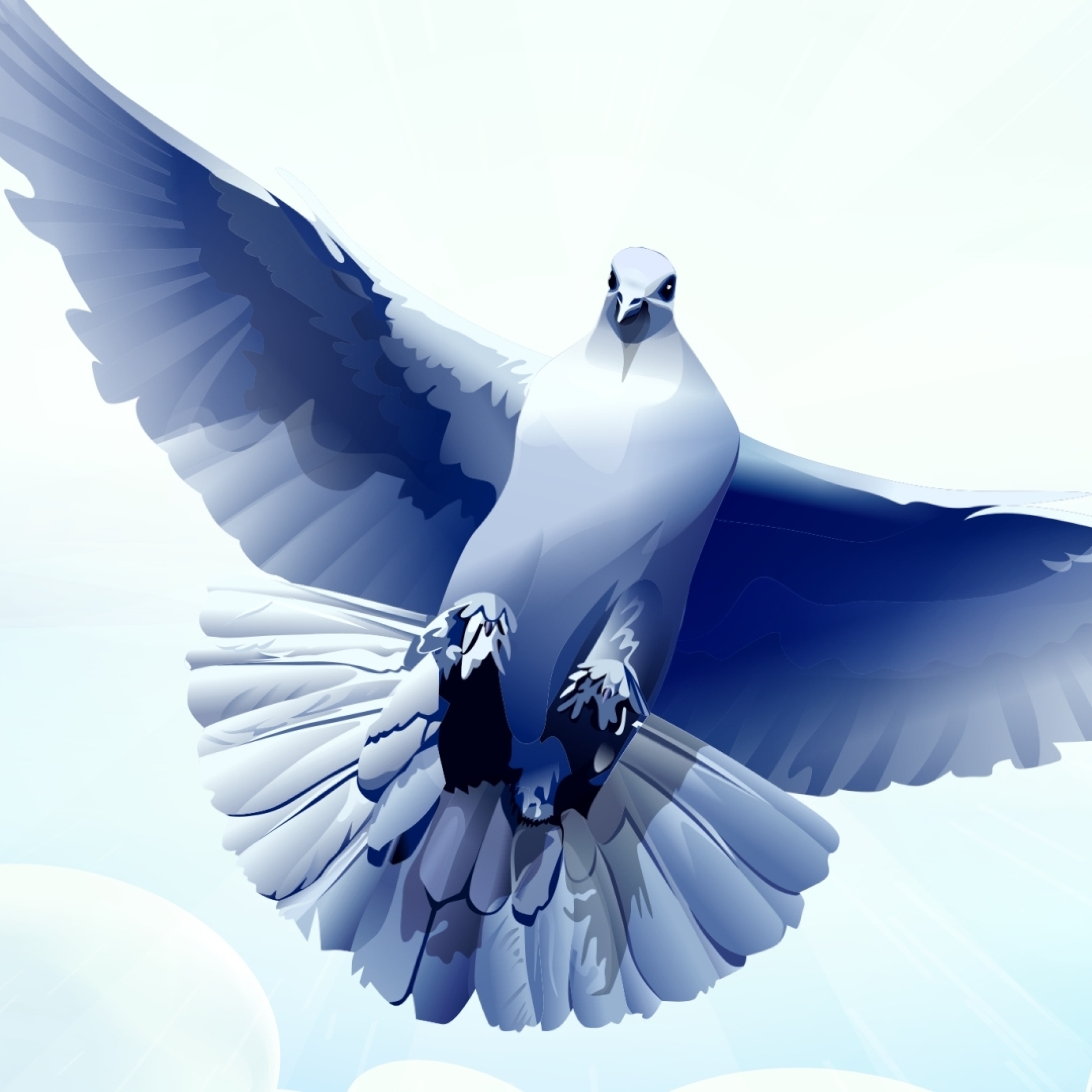 Мир голубей. Голубь. Разлетающиеся голуби. Красивый голубь в небе. Голуби улетели.