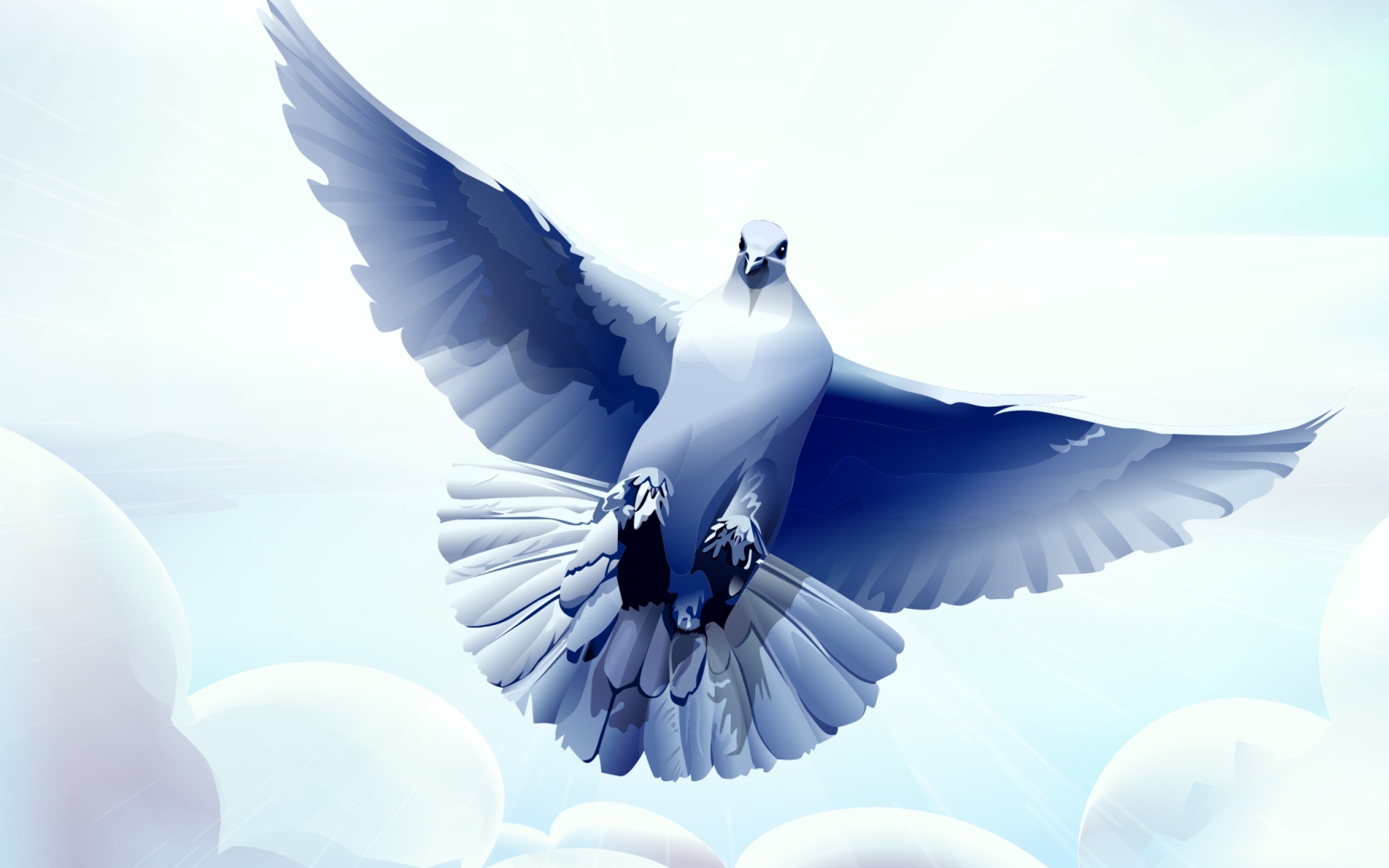 2880x1800 dove, bird, flying Macbook Pro Retina Wallpaper, HD Vector 4K