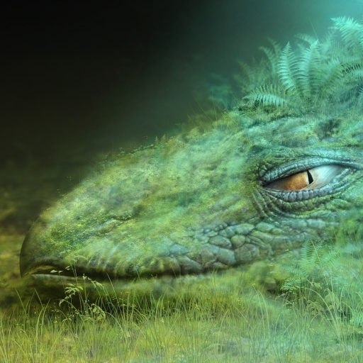 512x512 dragon, green, masking 512x512 Resolution Wallpaper, HD Fantasy