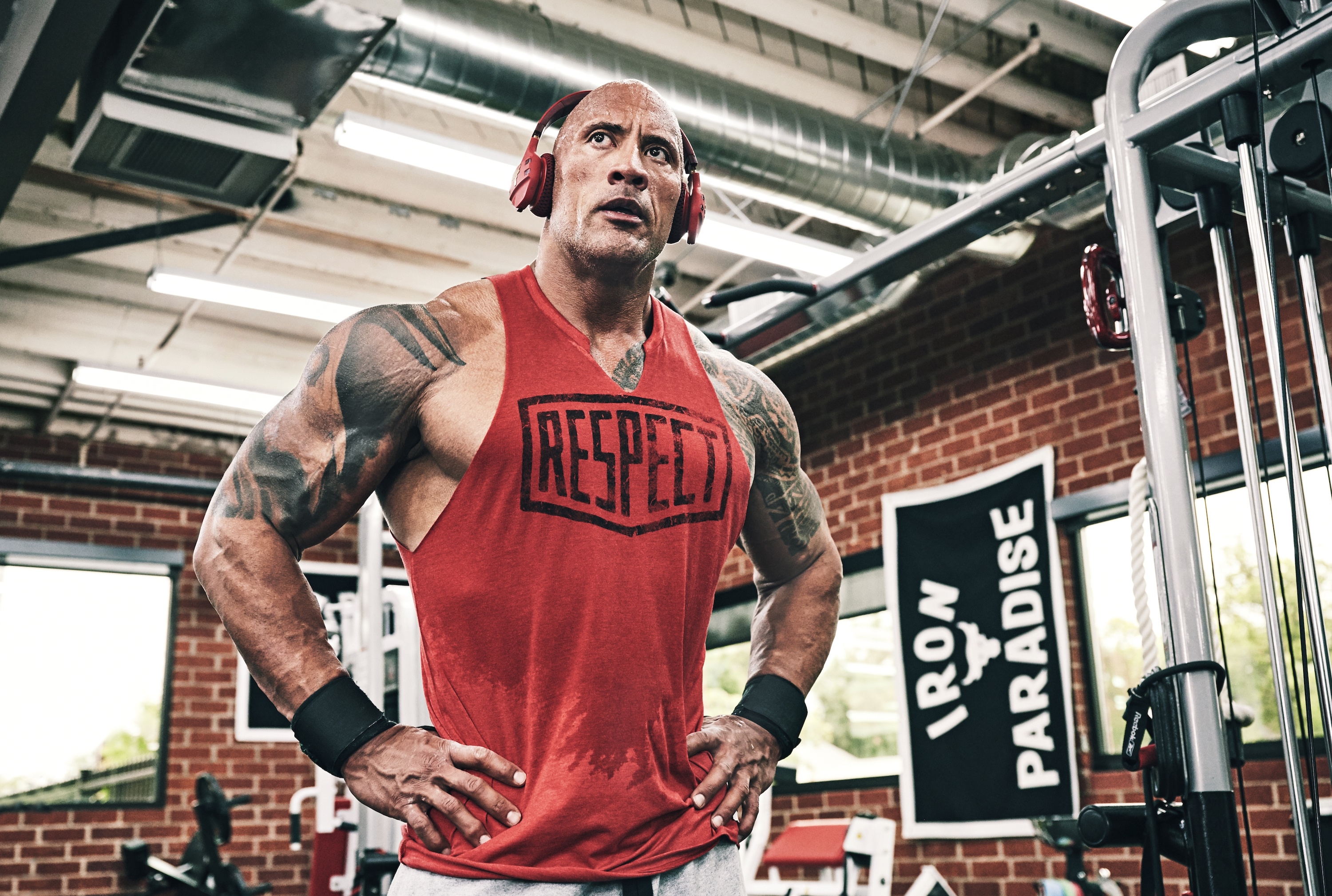 Dwayne Johnson In Gym Wallpaper, HD Celebrities 4K Wallpapers, Images,  Photos and Background - Wallpapers Den