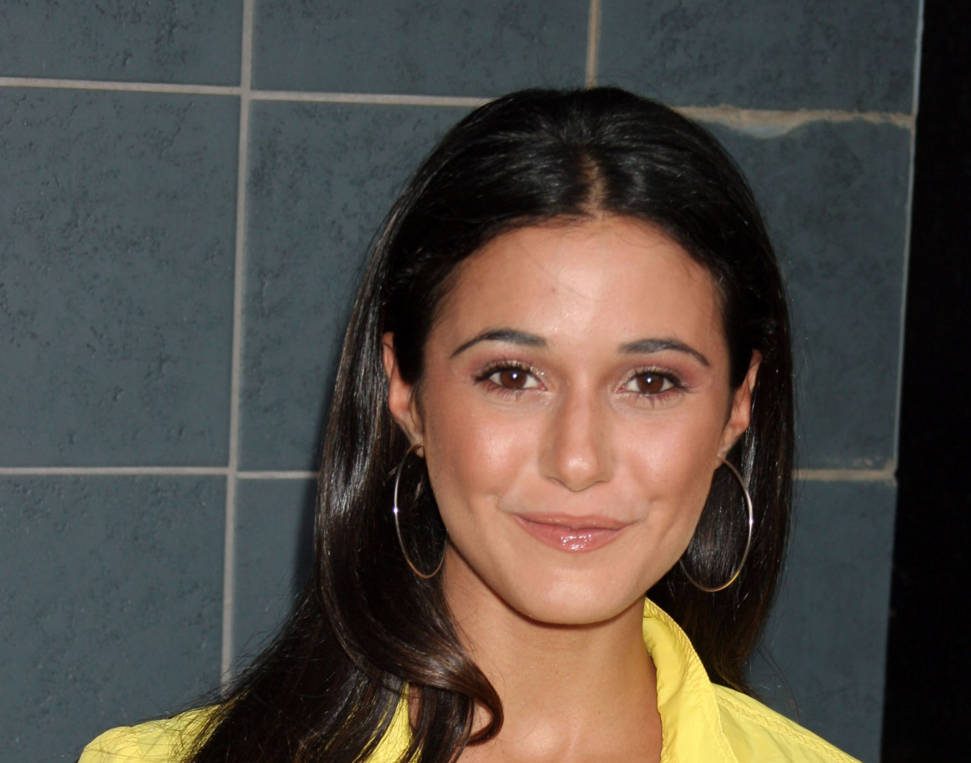 Emmanuelle Chriqui Hot Wallpaper — free download