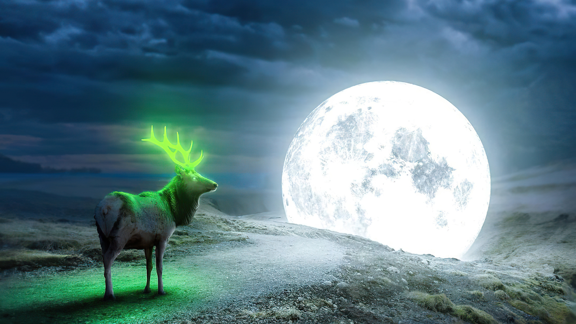 1920x1080 Fantasy Deer 1080P Laptop Full HD Wallpaper, HD Fantasy 4K  Wallpapers, Images, Photos and Background - Wallpapers Den