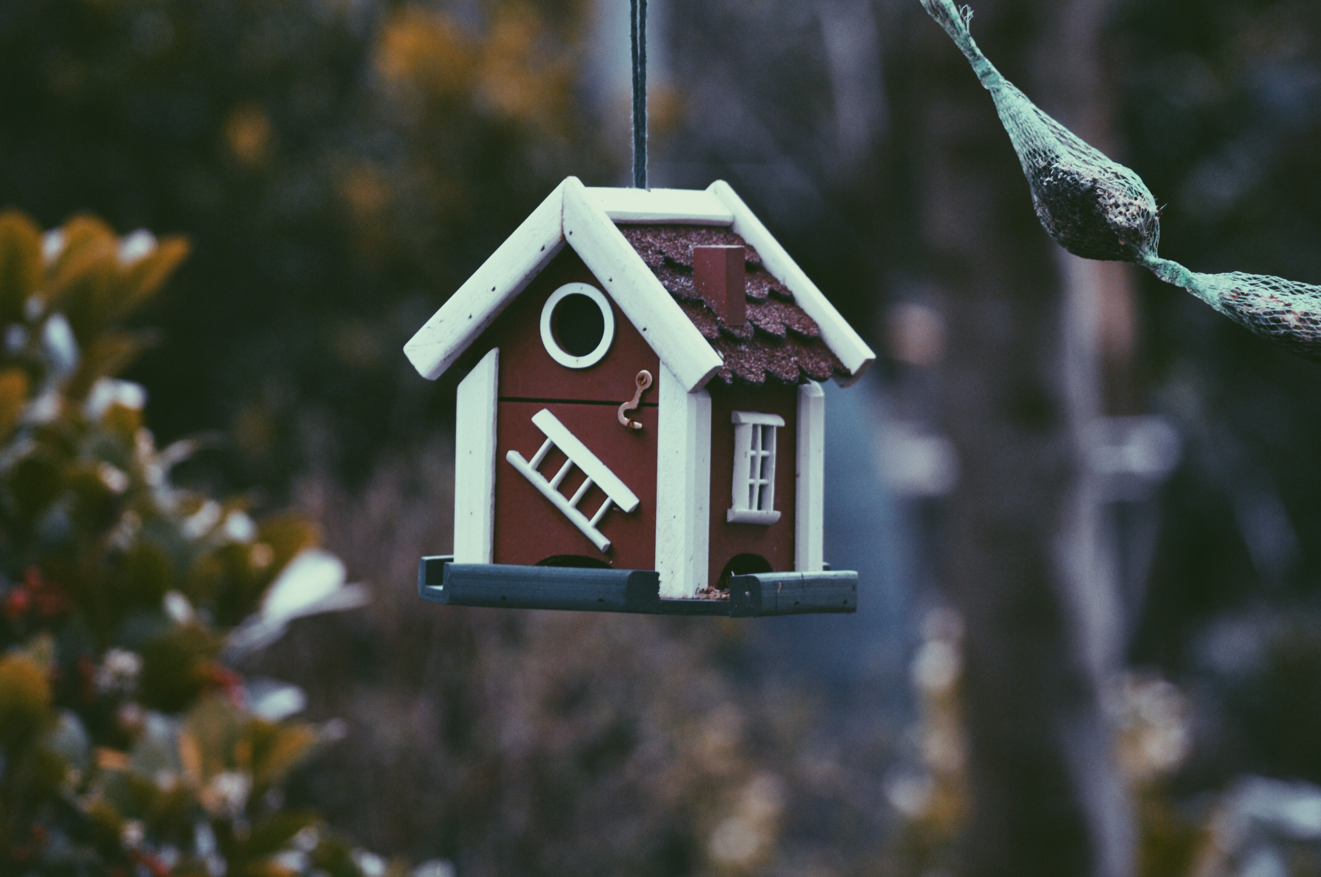 feeder, bird, house Wallpaper, HD Other 4K Wallpapers, Images, Photos and  Background - Wallpapers Den