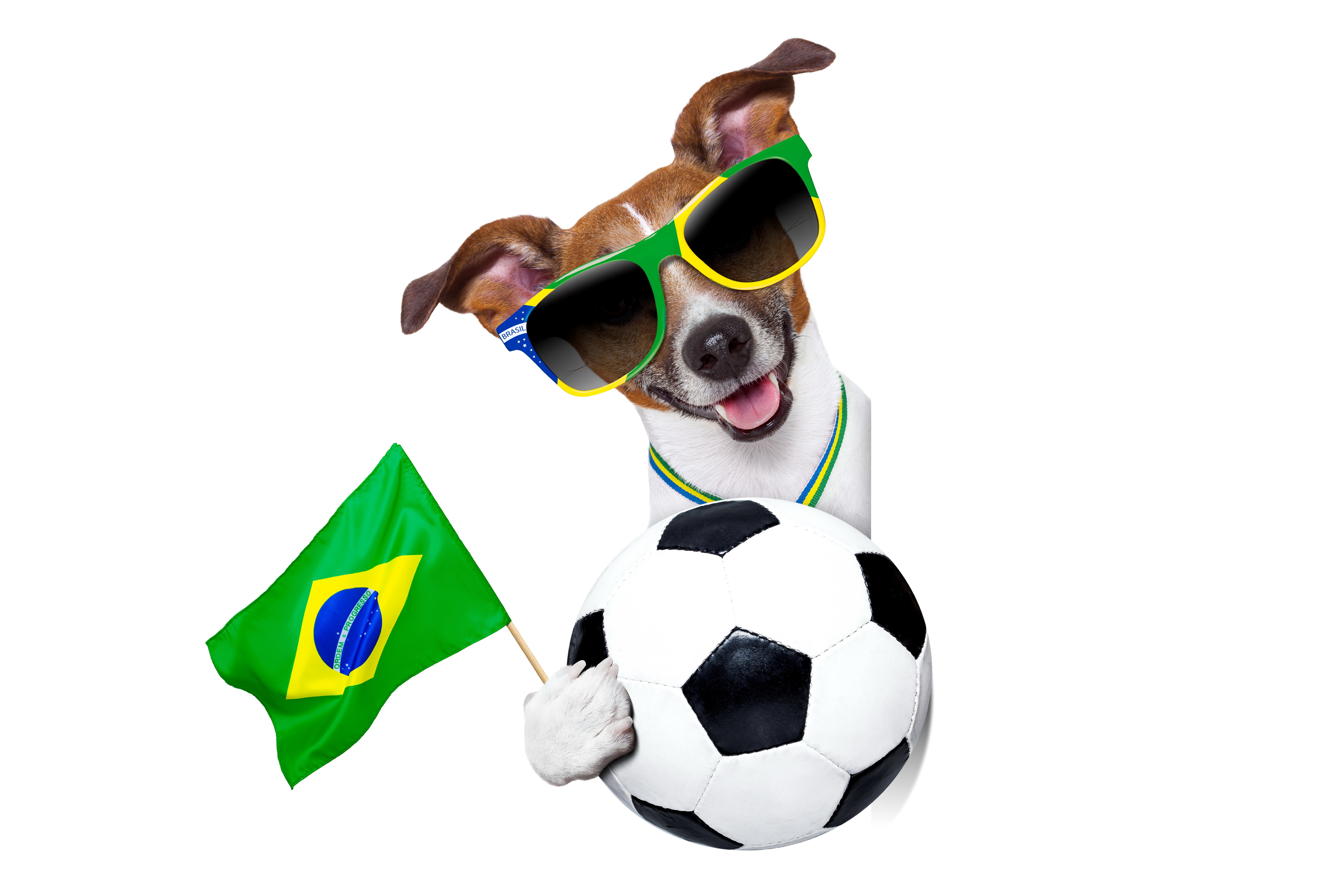 fifa world cup, brazil, 2014 Wallpaper, HD Sports 4K Wallpapers, Images
