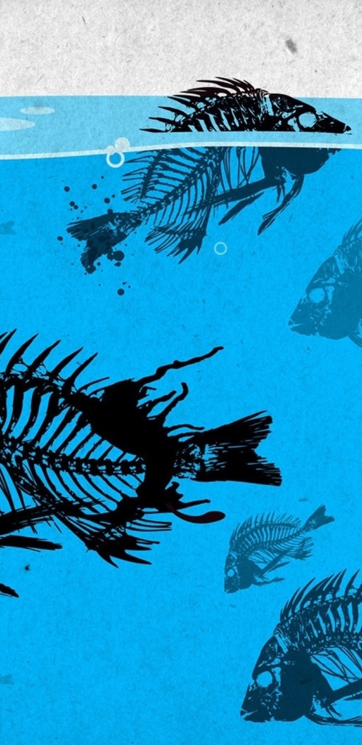 720x1480 fish, skeleton, paint 720x1480 Resolution Wallpaper, HD Vector