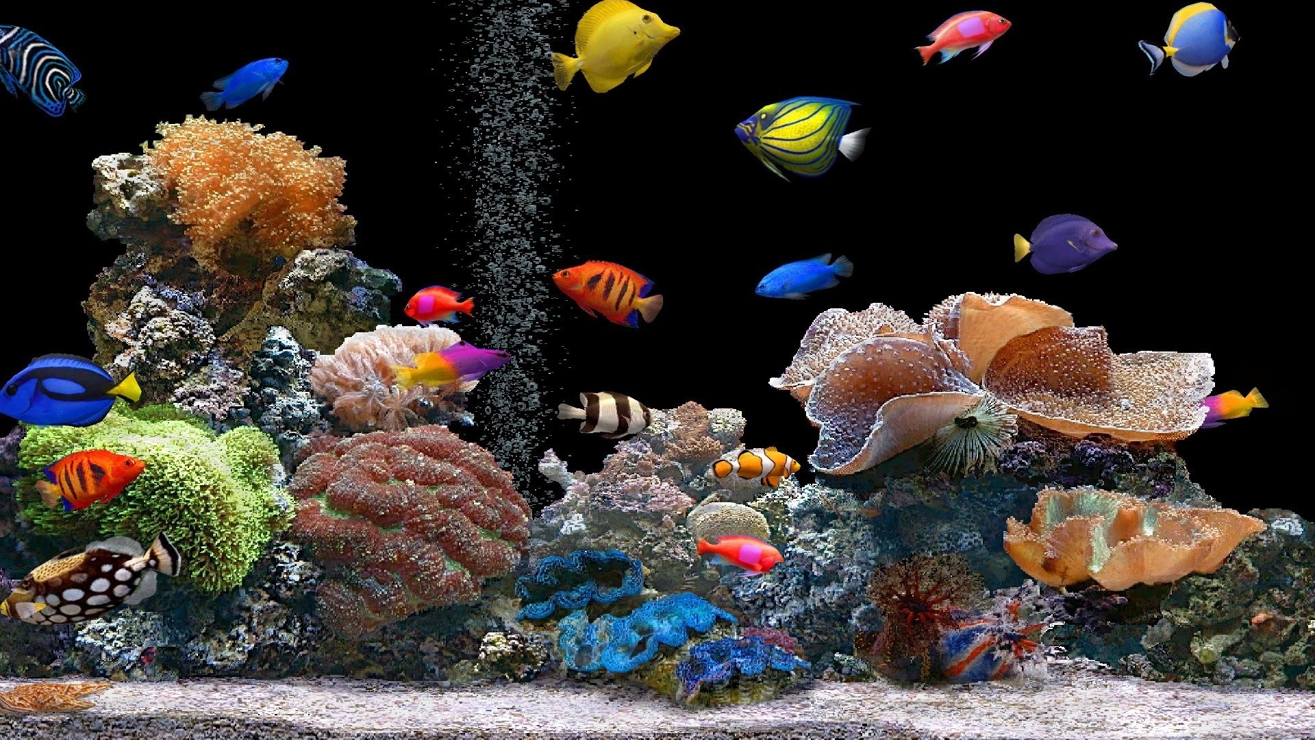 Sea Underwater World Coral Exotic Tropical Fish Wallpapers For Mobile  Phone And Laptop  Wallpapers13com