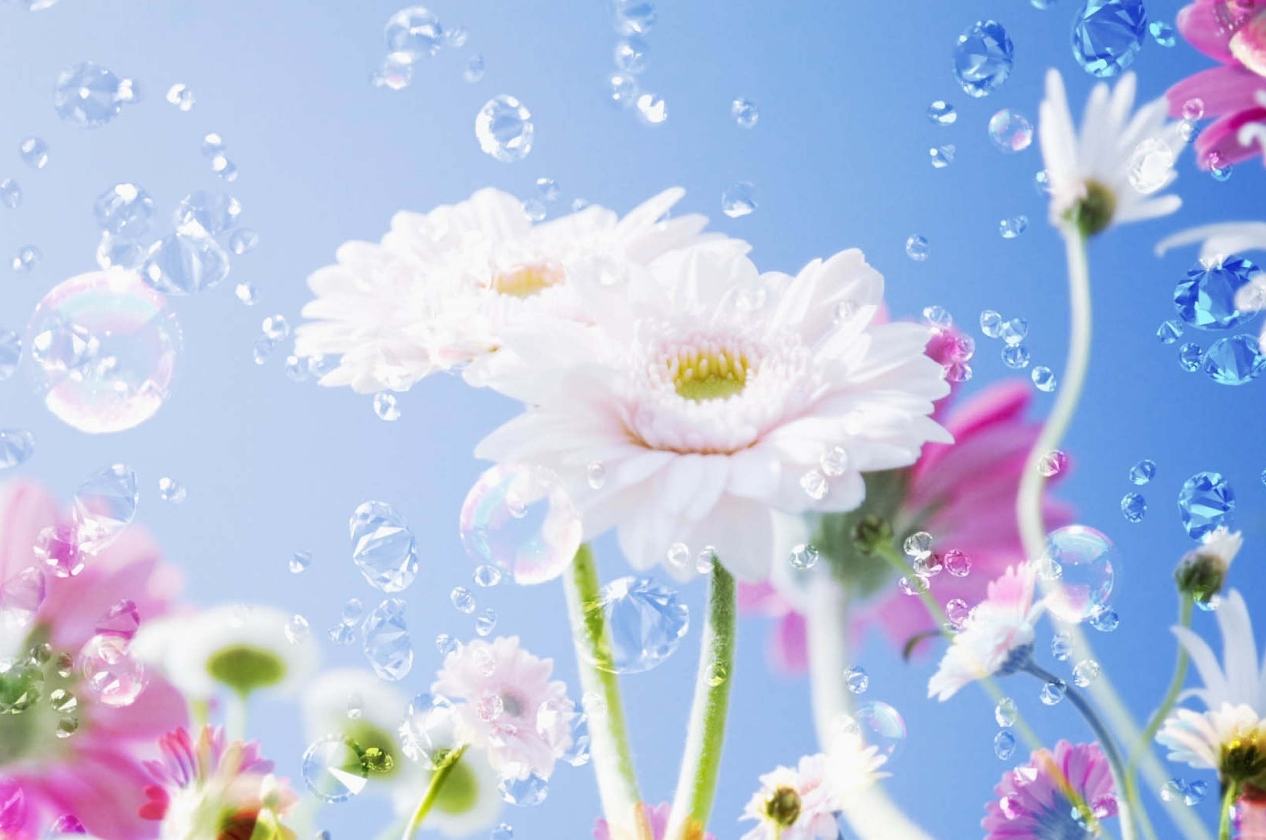 2560x1700 flowers, liquid, droplets Chromebook Pixel Wallpaper, HD