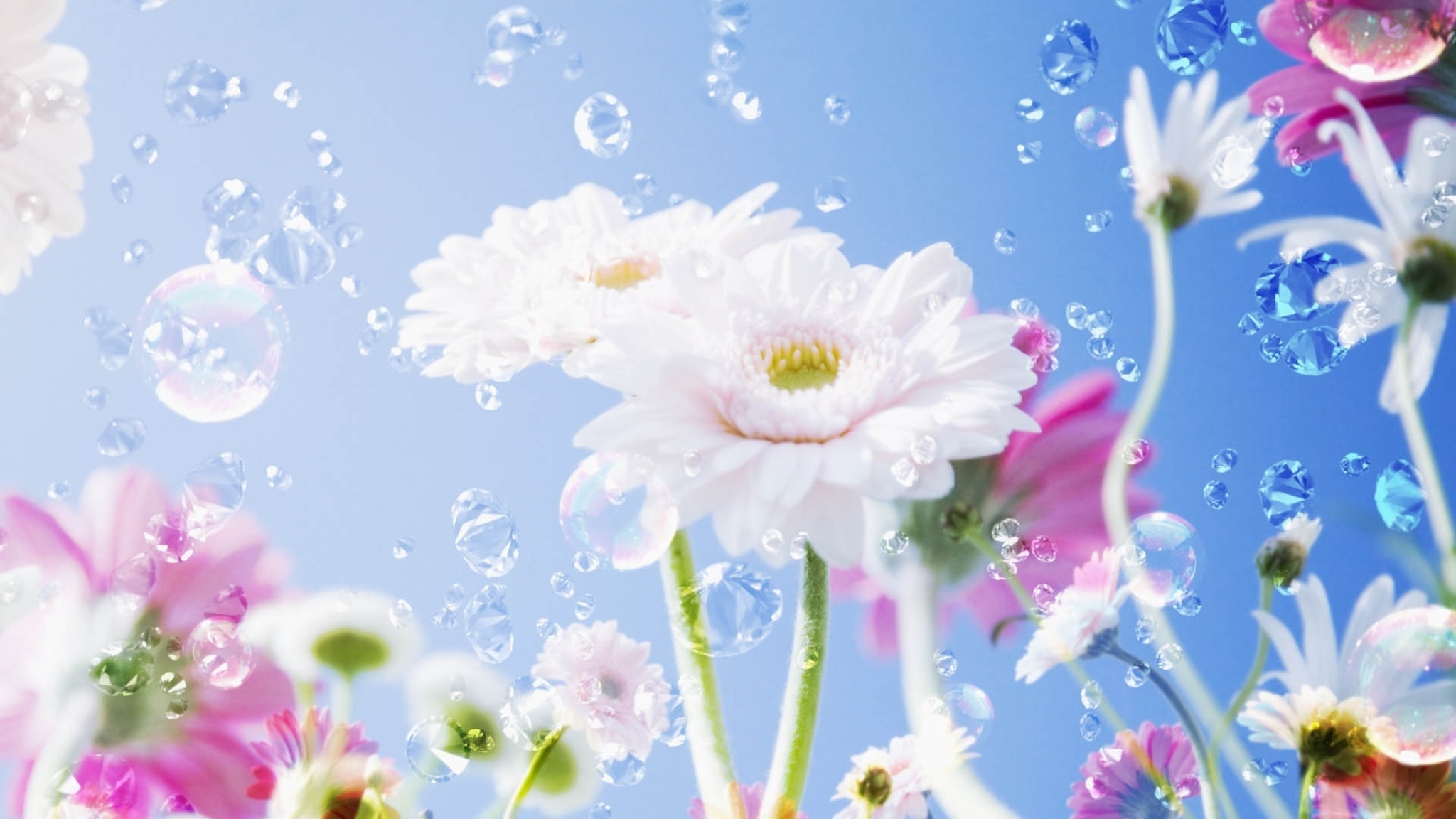 2048x1152 flowers, liquid, droplets 2048x1152 Resolution Wallpaper, HD