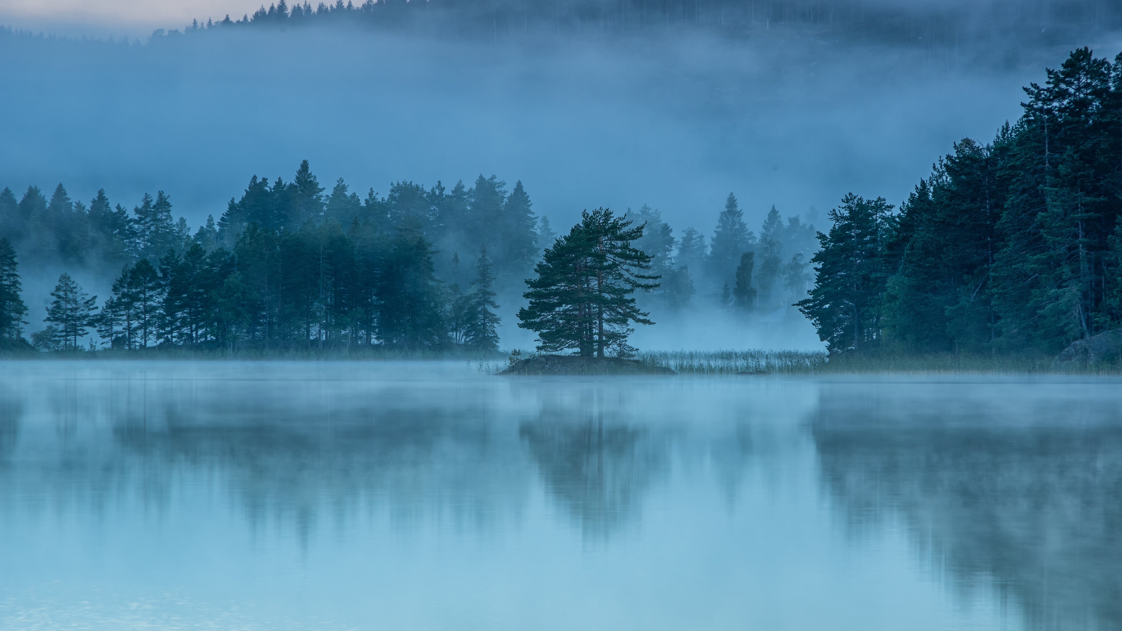 Nature Lake Landscape Reflection Fog Ultrahd 4k Wallpaper Vrogue
