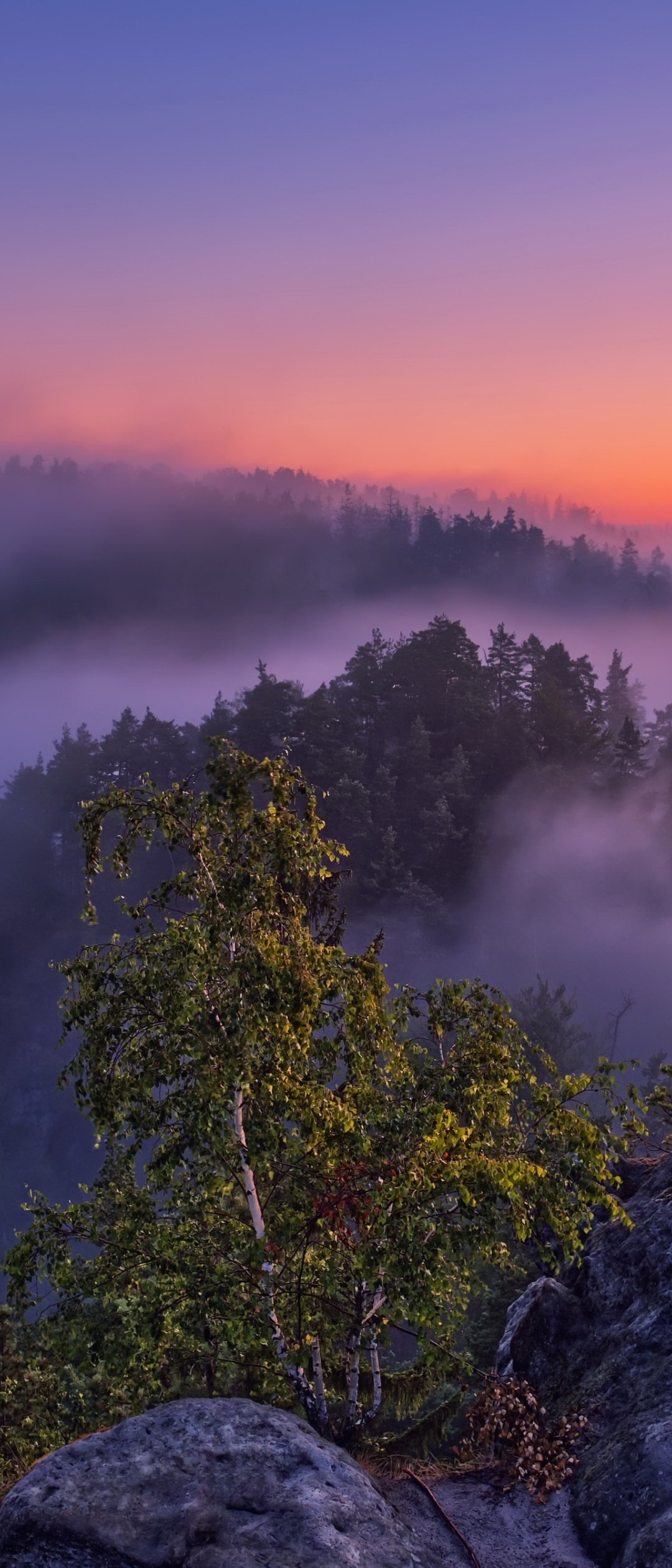1080x2520 Fogy Mountain Sunset 4K 1080x2520 Resolution ...