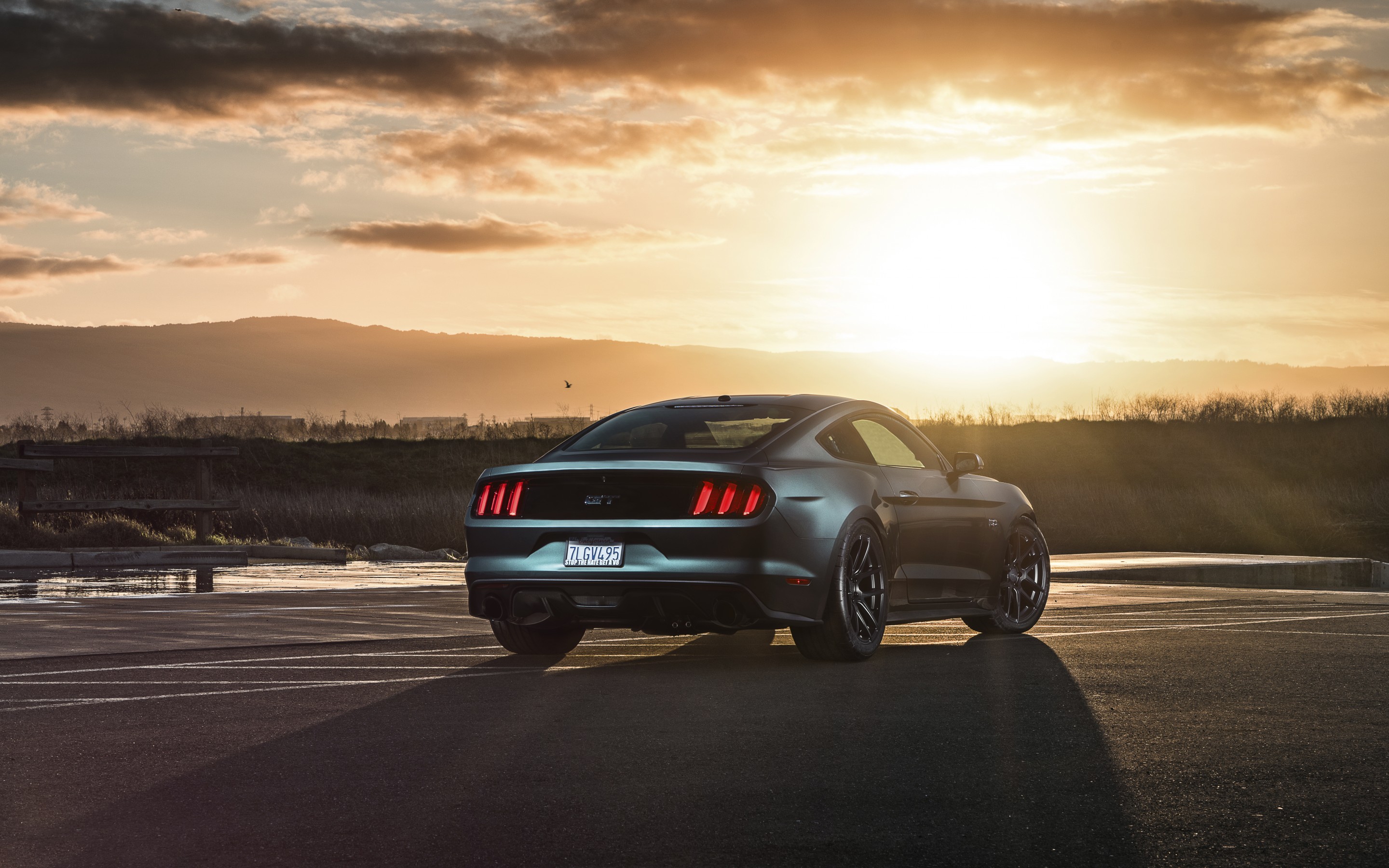 Ford Mustang 2015 Gt Wallpaper Hd Cars 4k Wallpapers Images Photos And Background Wallpapers Den