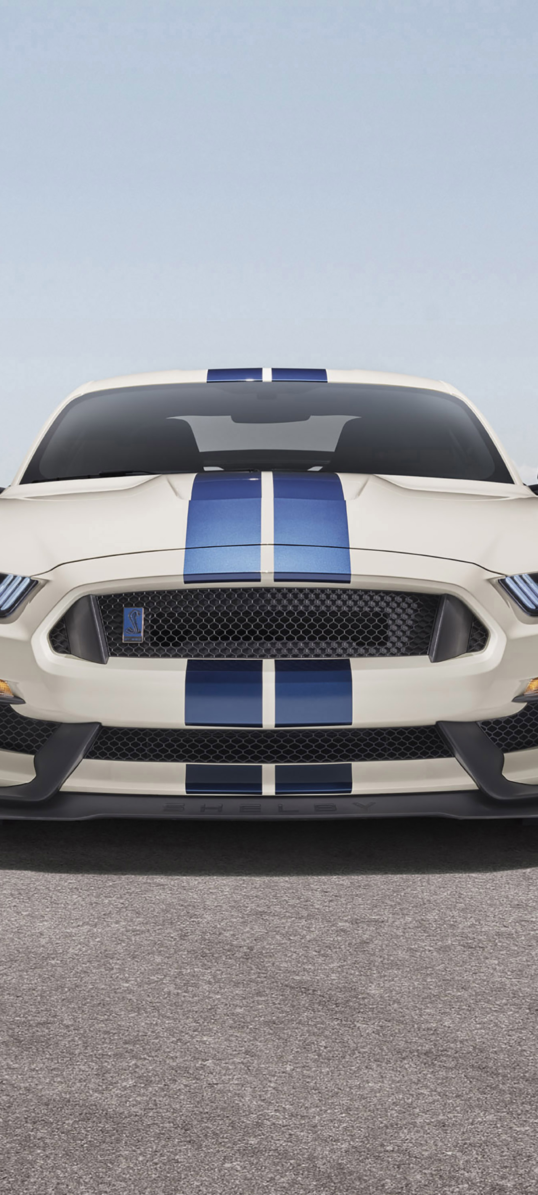 1080x2400 Ford Mustang Shelby Gt350 1080x2400 Resolution Wallpaper Hd Cars 4k Wallpapers Images Photos And Background Wallpapers Den
