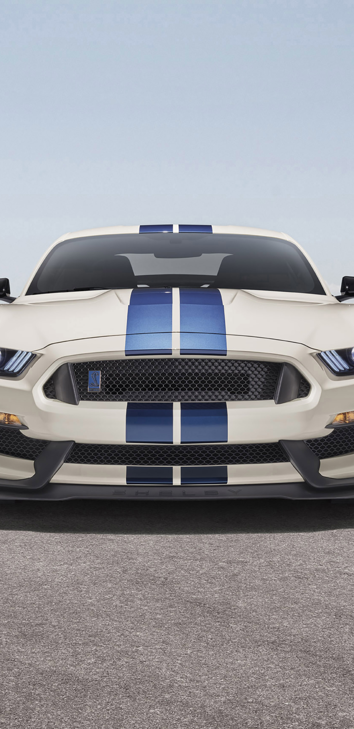 1440x2960 Ford Mustang Shelby Gt350 Samsung Galaxy Note 9 8 S9 S8 S8 Qhd Wallpaper Hd Cars 4k Wallpapers Images Photos And Background Wallpapers Den