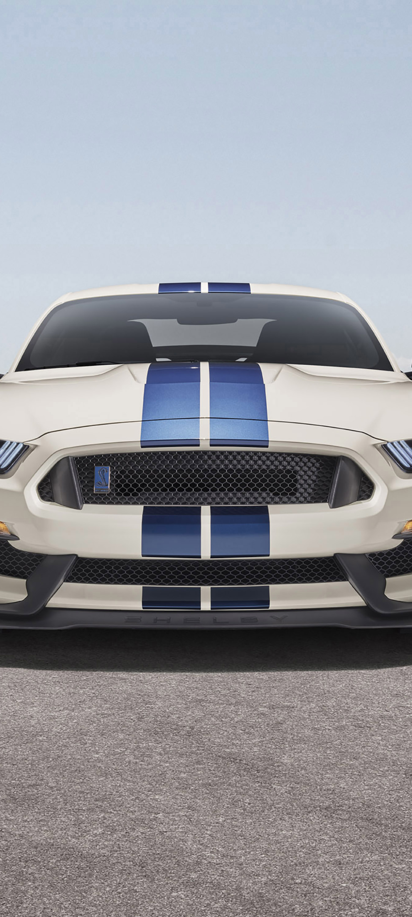 1440x3200 Ford Mustang Shelby GT350 1440x3200 Resolution Wallpaper, HD Cars  4K Wallpapers, Images, Photos and Background - Wallpapers Den