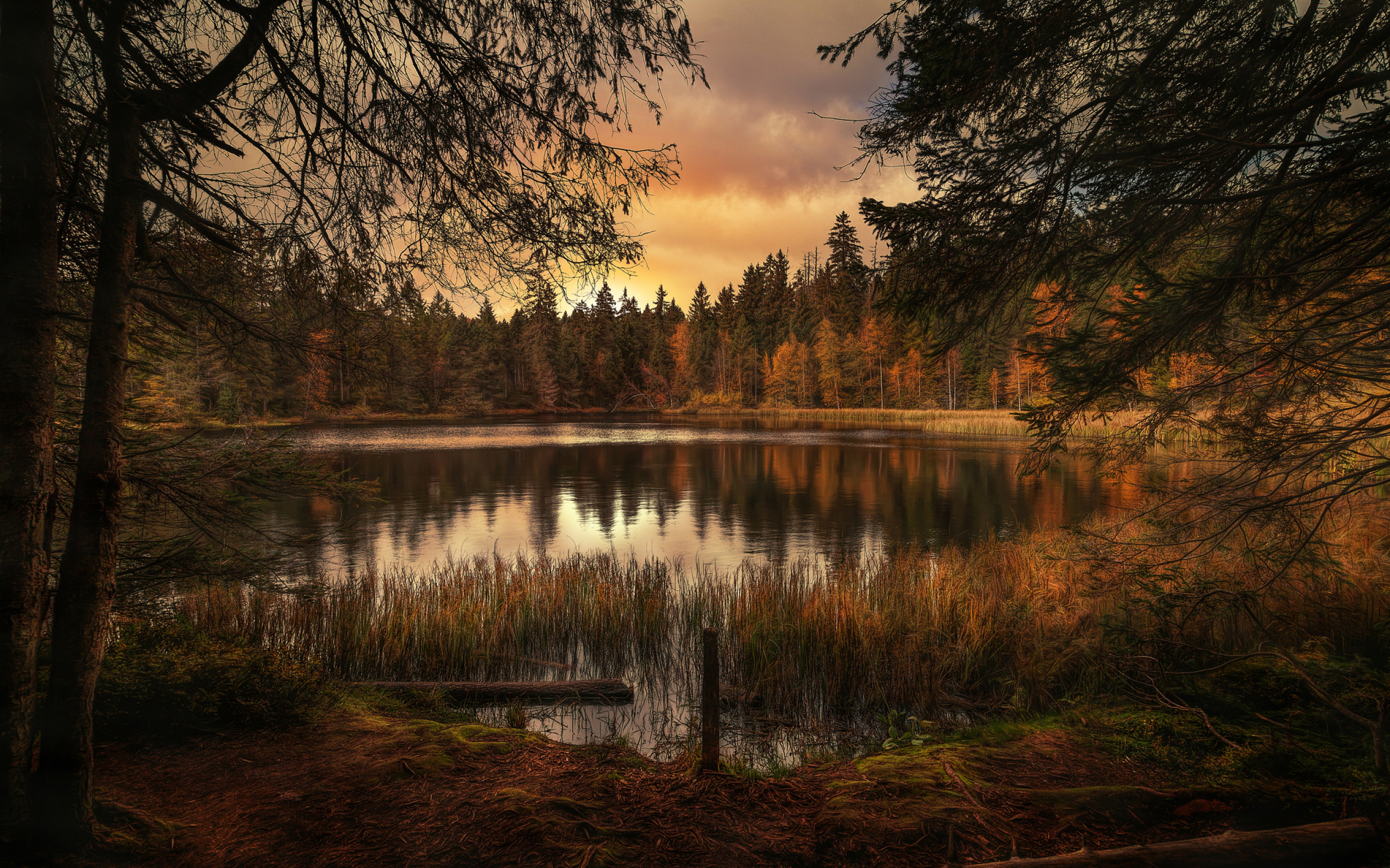 Озеро в осень на закате бесплатно