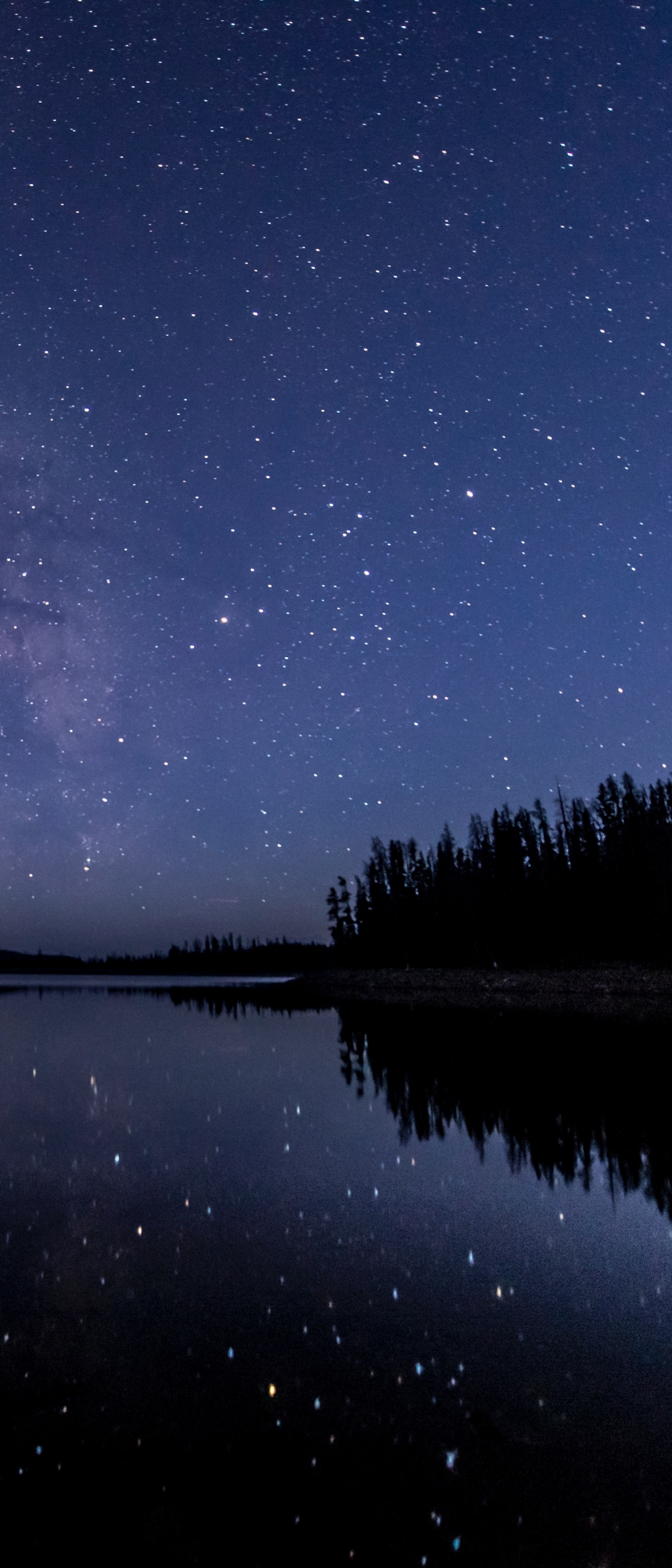 1080x2520 Forest Milky Way Night Reflection over River 1080x2520