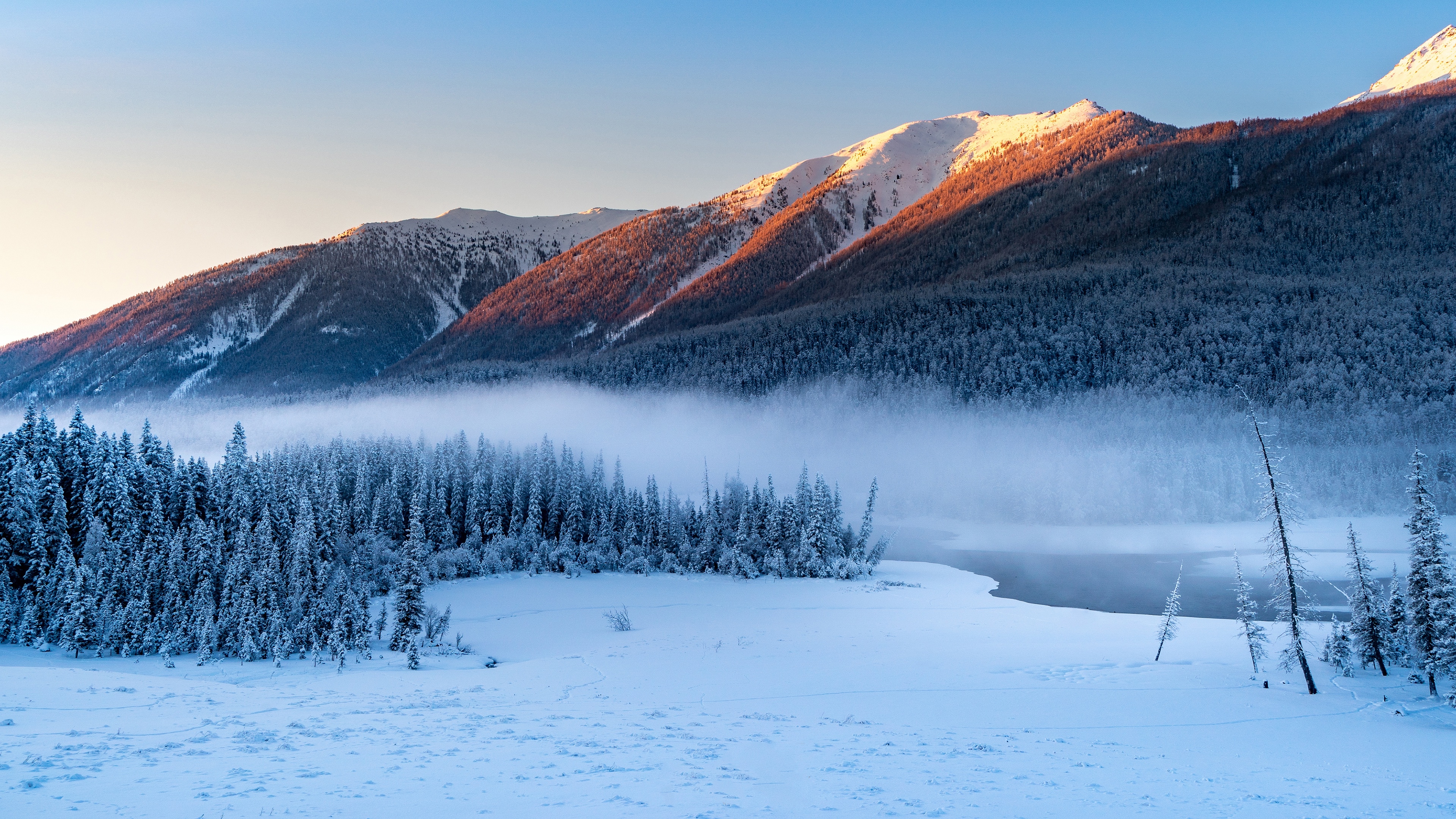 Forest Snowy Winter Mountains Wallpaper HD Nature 4K Wallpapers 