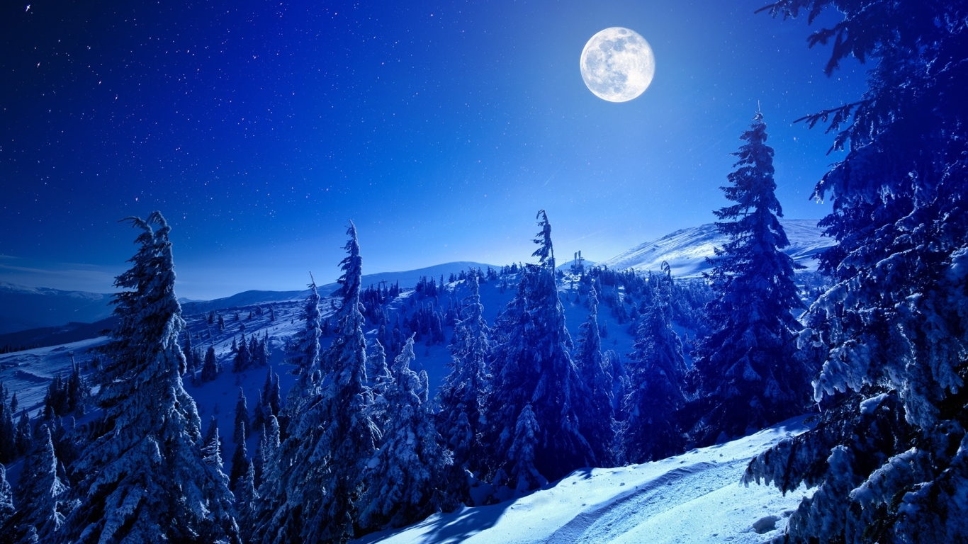 1366x768 Full Moon Over Winter Forest 1366x768 Resolution ...