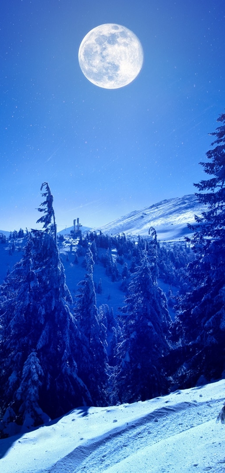 720x1512 Full Moon Over Winter Forest 720x1512 Resolution Wallpaper, HD ...