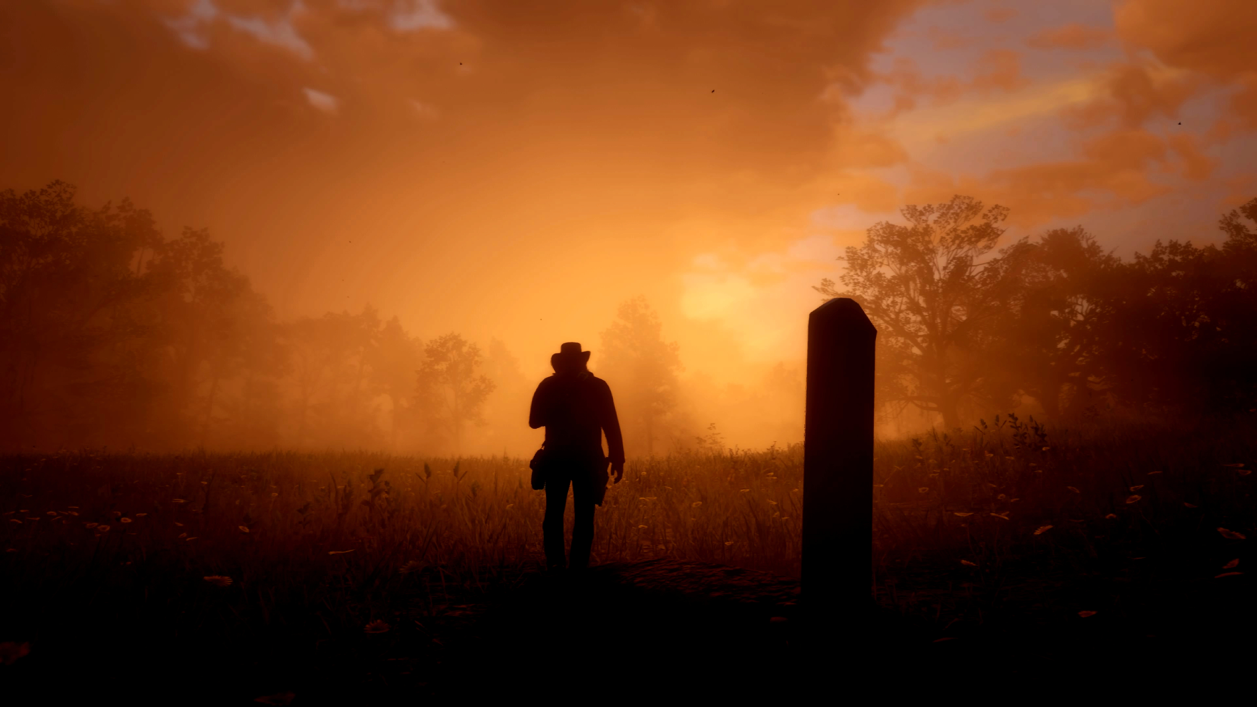 2560x1440 Game Red Dead Redemption 2 1440P Resolution Wallpaper, HD
