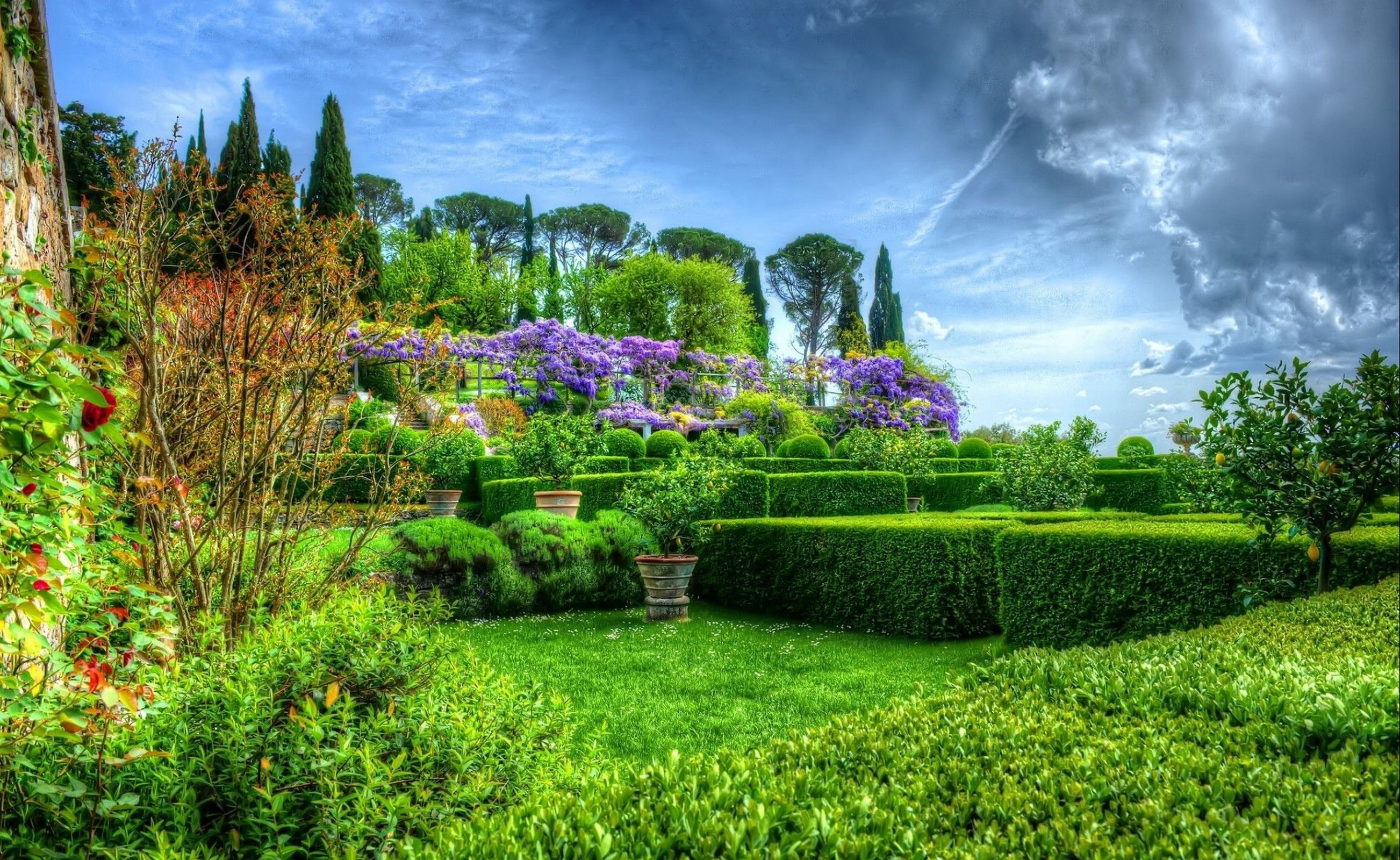 garden, shrubs, flowers Wallpaper, HD Nature 4K Wallpapers, Images, Photos  and Background - Wallpapers Den