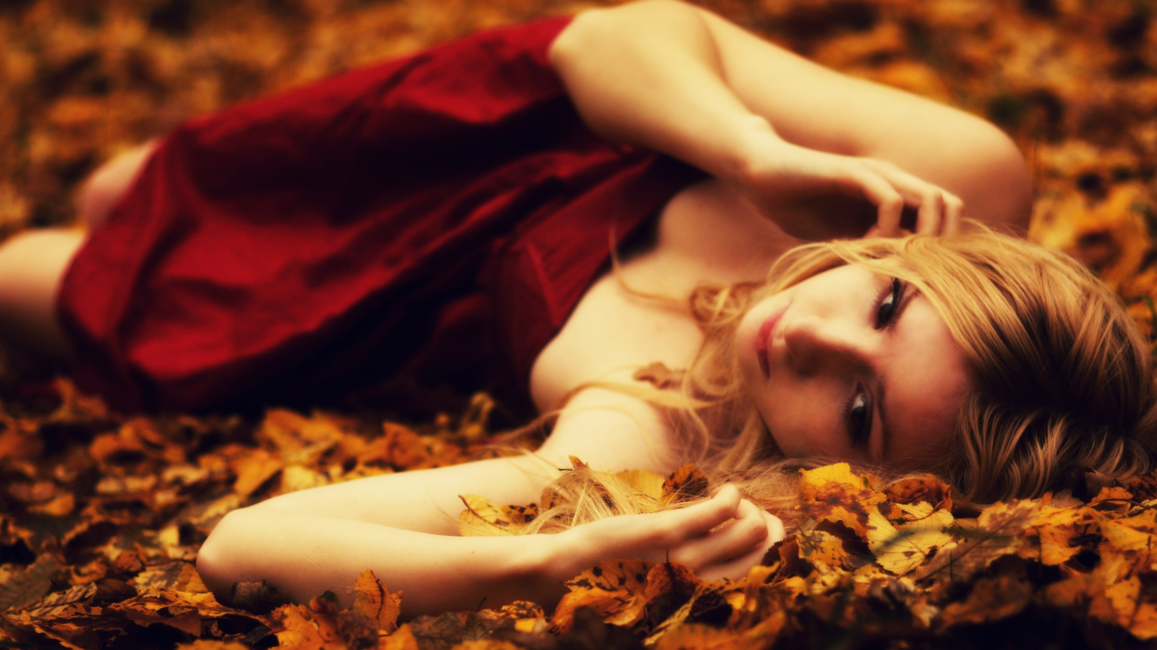 Чувственней прекрасней. Девушка в листве. Девушка осень. Девушка осенью. Девушка в осеннем лесу.