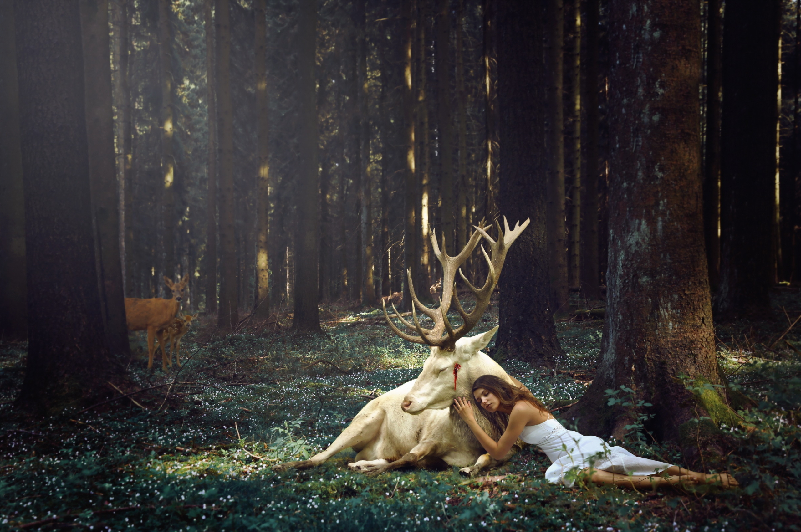 Сказка олень рога. Фотосессия в лесу. Сказочный олень. Олень в лесу. Сказочная фотосессия в лесу.