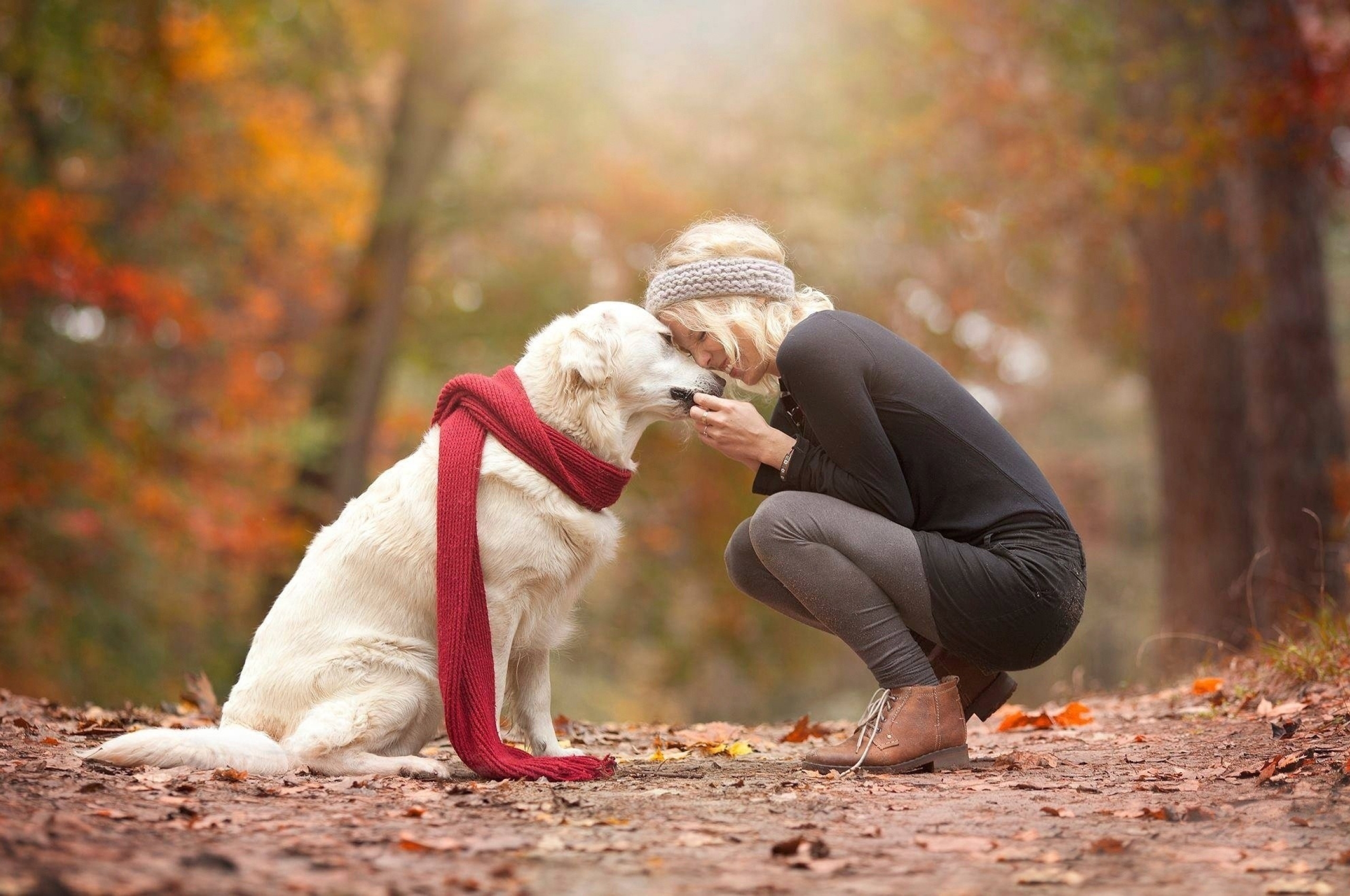 Поступайте с людьми по доброму. Фотосессия с собакой. Девушка с собакой фотосессия. Человек с собакой. Осенняя фотосессия с собакой.