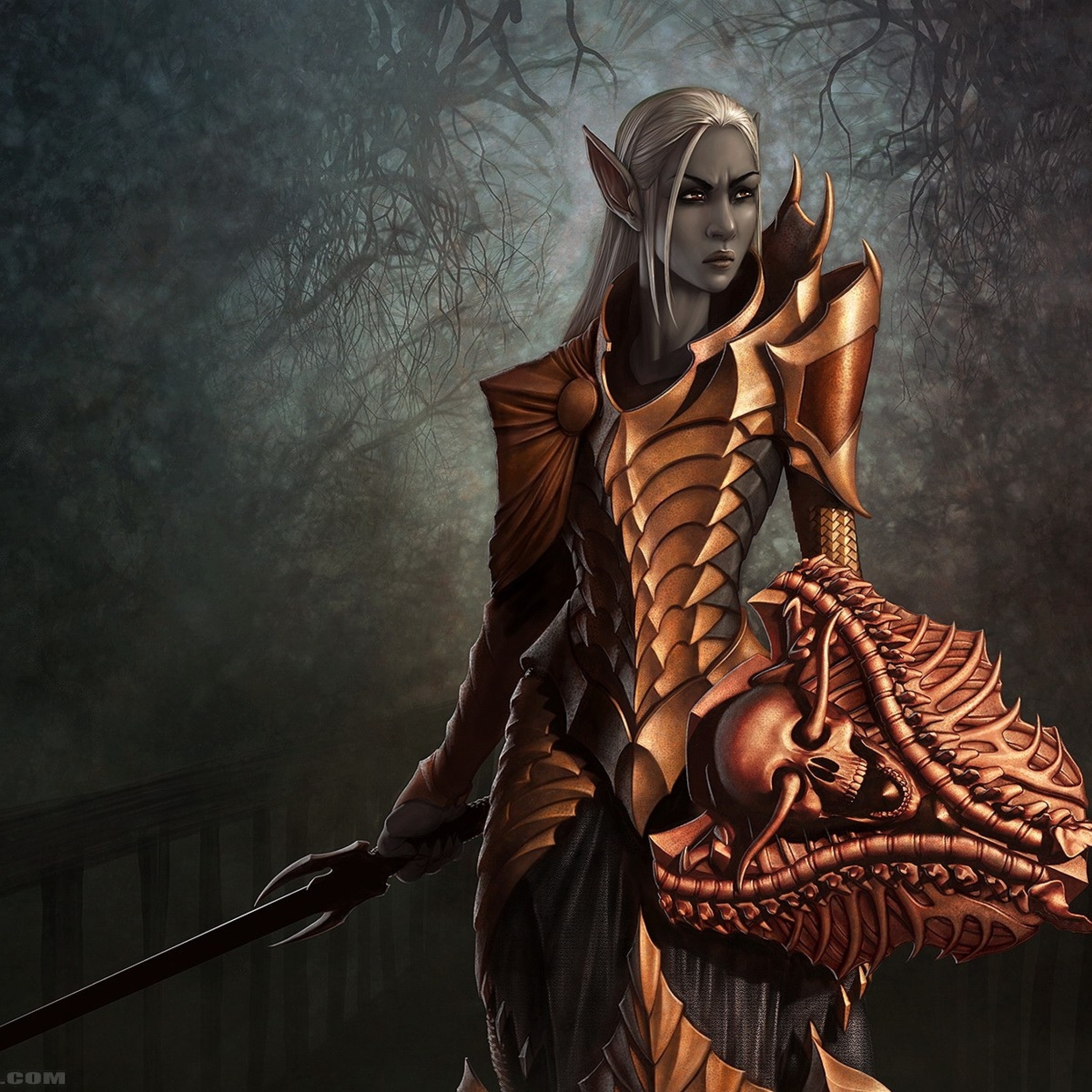 Dark Elf Fraylia