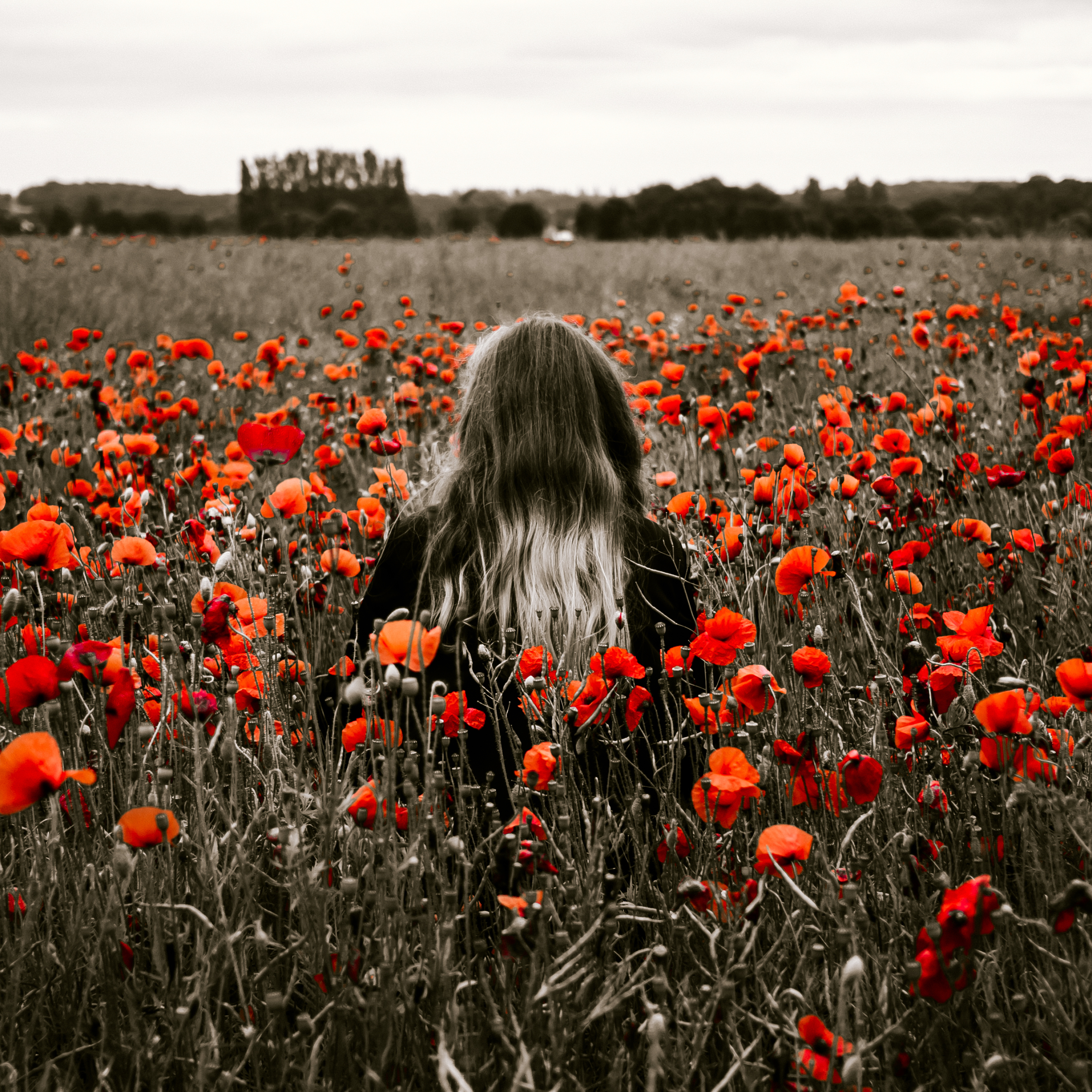 Girl field. Маковое поле. Маковое поле девушка. Фотосессия в поле цветов. Фотосессия в маковом поле.