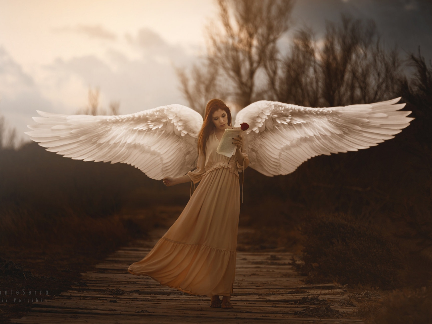Girl With Wings Angel, Full HD 2K Wallpaper