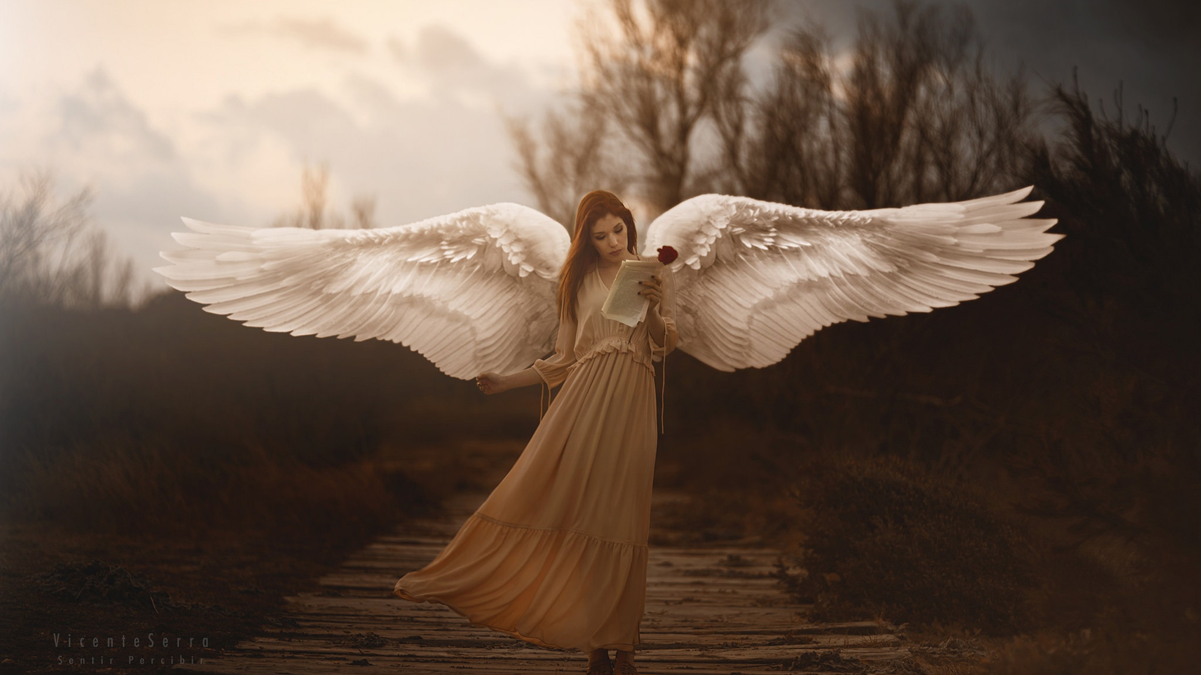 3840x2160 Girl With Wings Angel 4K Wallpaper, HD Girls 4K Wallpapers,  Images, Photos and Background - Wallpapers Den