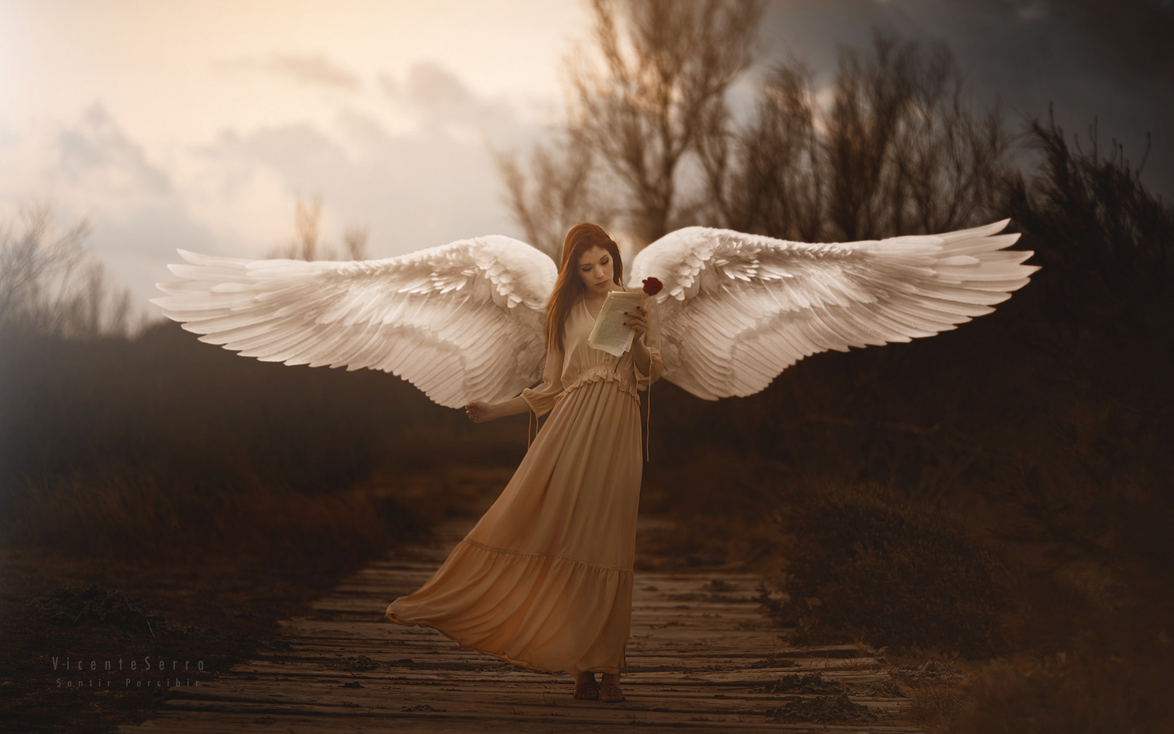 3840x2400 Girl With Wings Angel Uhd 4k 3840x2400 Resolution Wallpaper