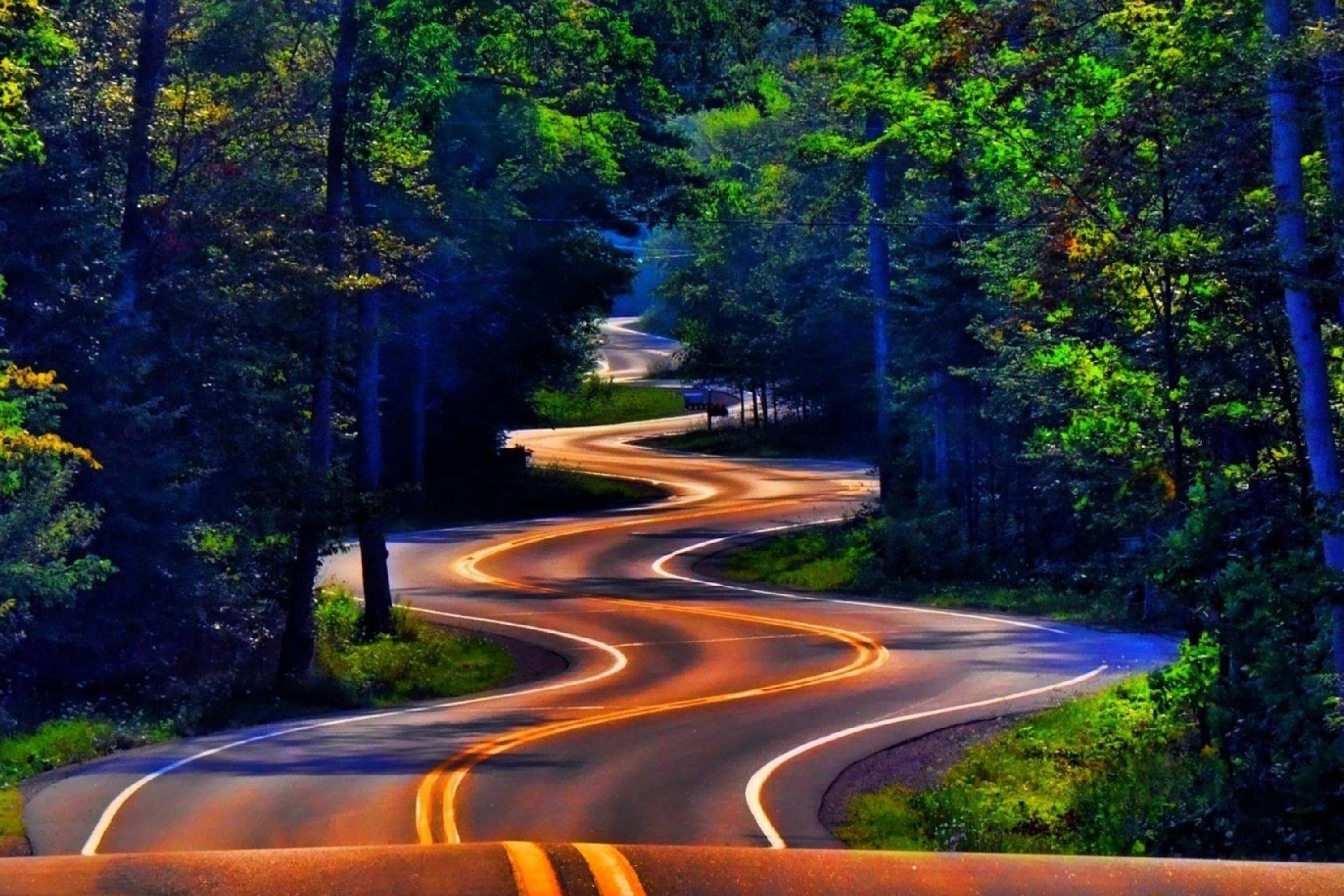 Дорога к счастью 10. Дорога в лесу. Красивые дороги. Красивая дорога. Извилистая дорога.