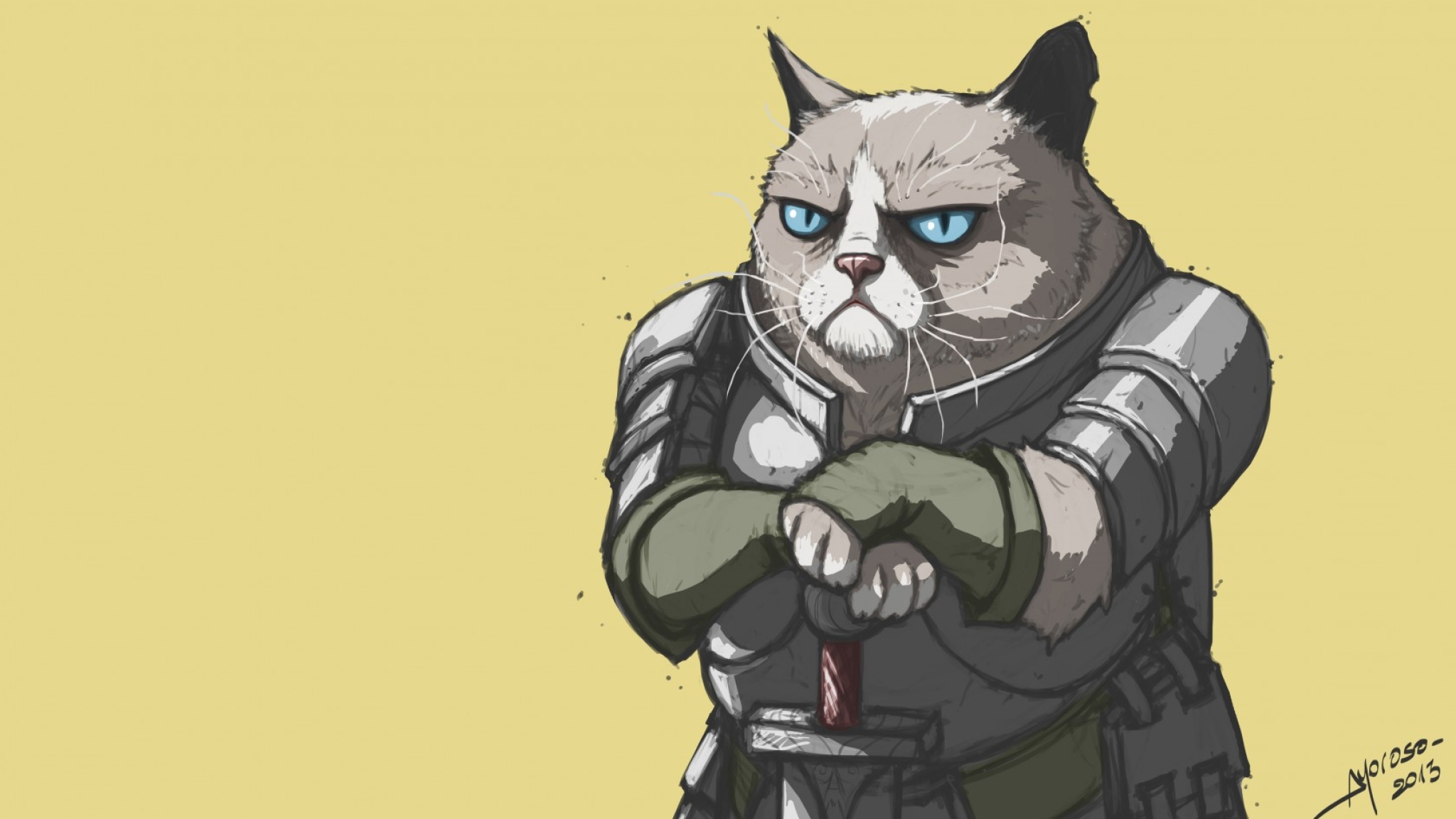 2048x1152 Grumpy Cat Armor Meme 2048x1152 Resolution Wallpaper