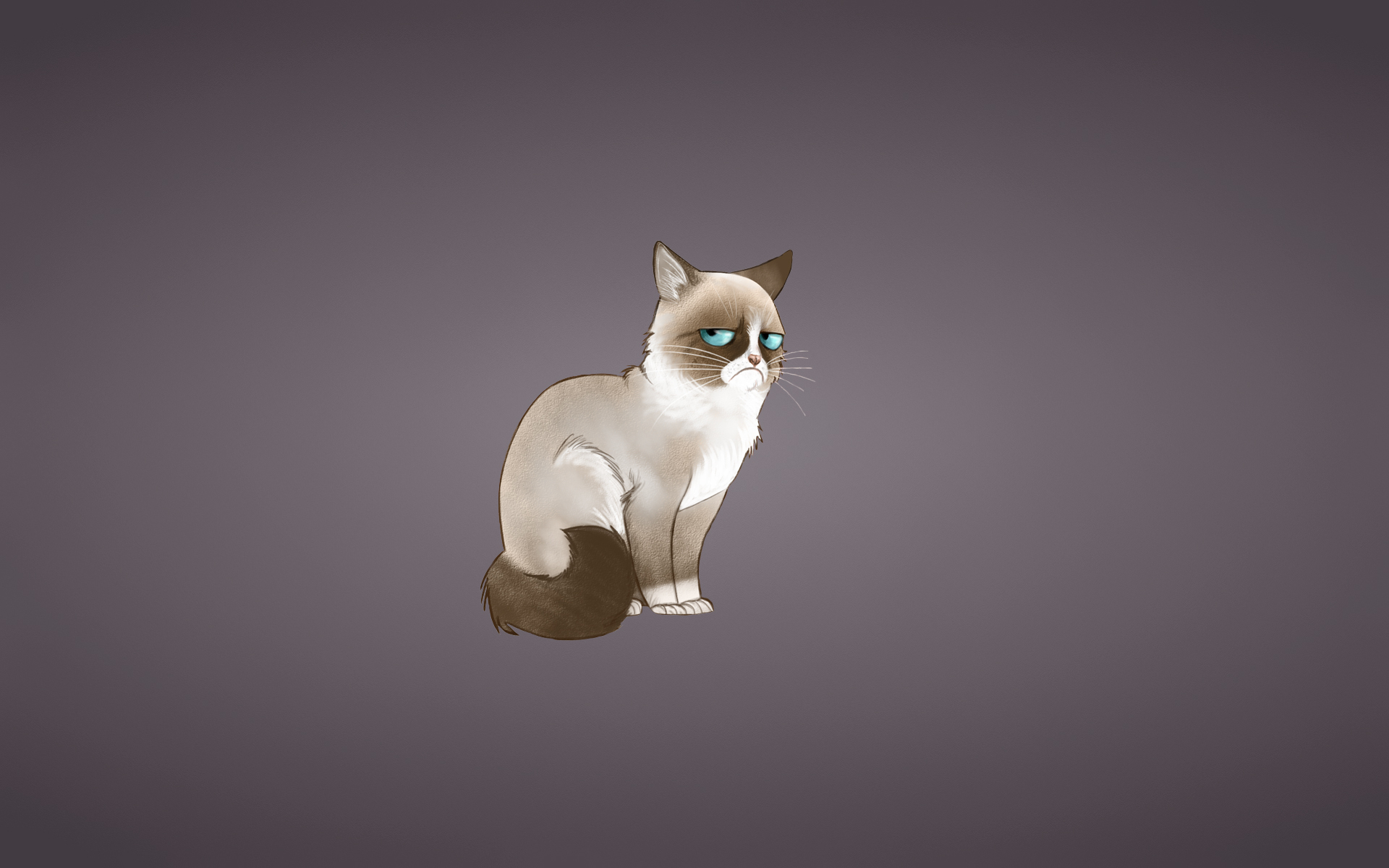 grumpy cat, meme, cat Wallpaper, HD Vector 4K Wallpapers, Images, Photos  and Background - Wallpapers Den