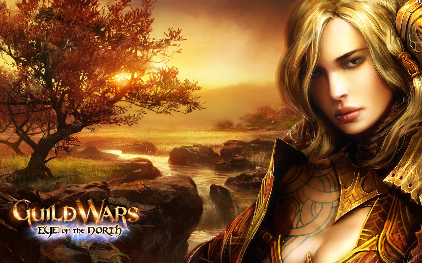 Guild Wars Eye Of The Dorth Girl Face Wallpaper Hd Games 4k