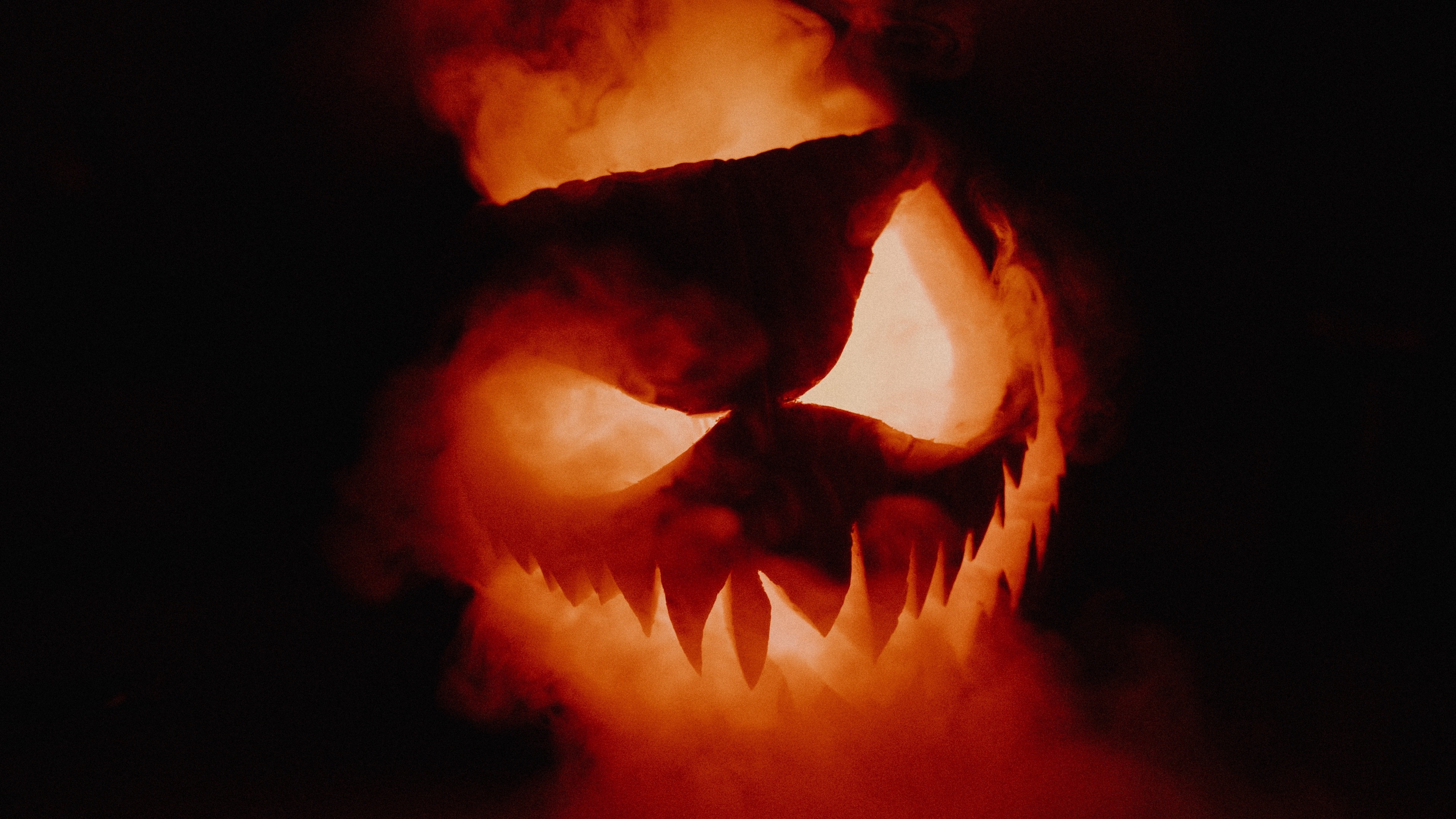 Halloween Pumpkin Pictures  Download Free Images on Unsplash