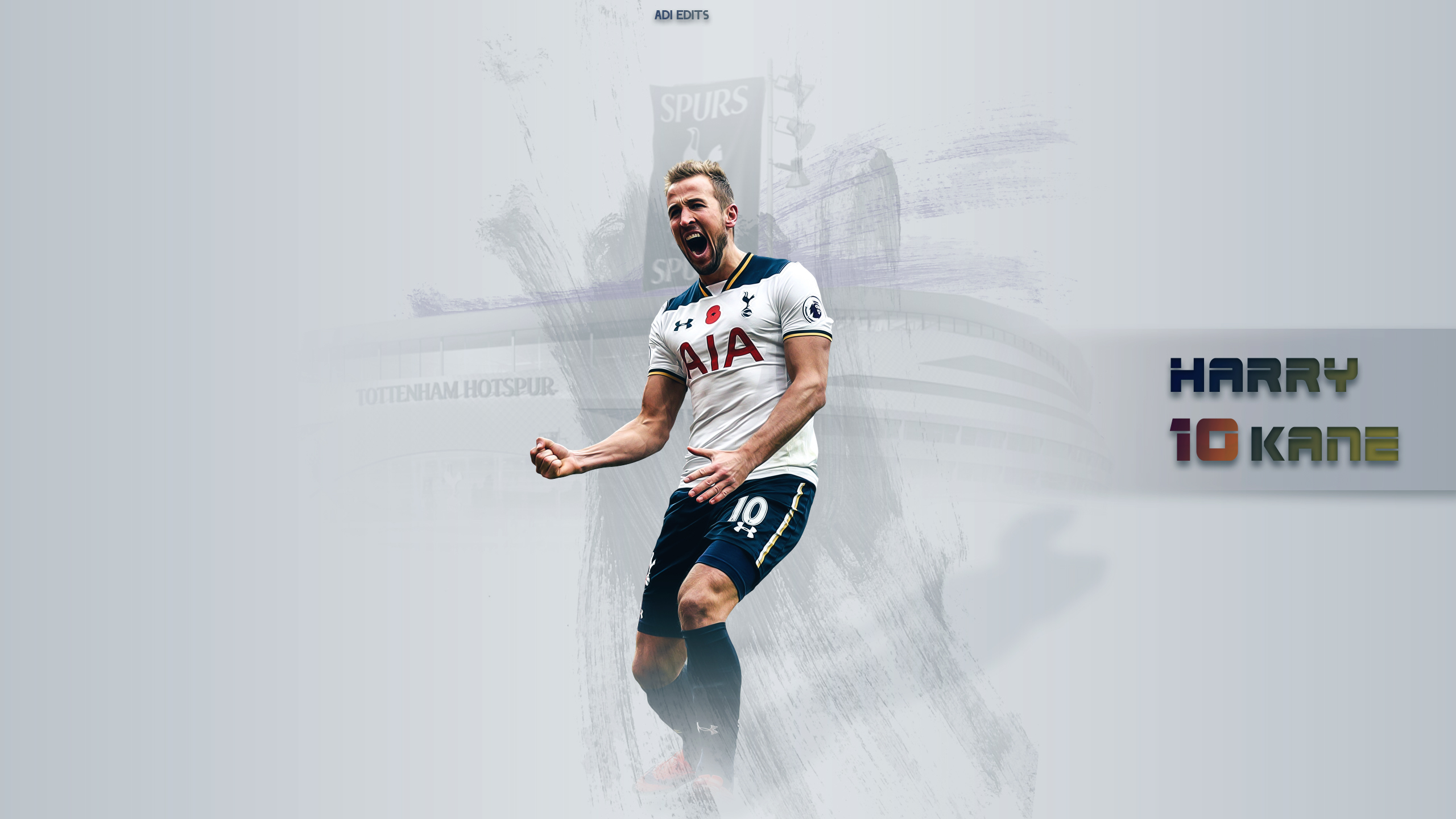 Harry Kane forward Tottenham Hotspur FC closeup english footballers  soccer HD wallpaper  Peakpx